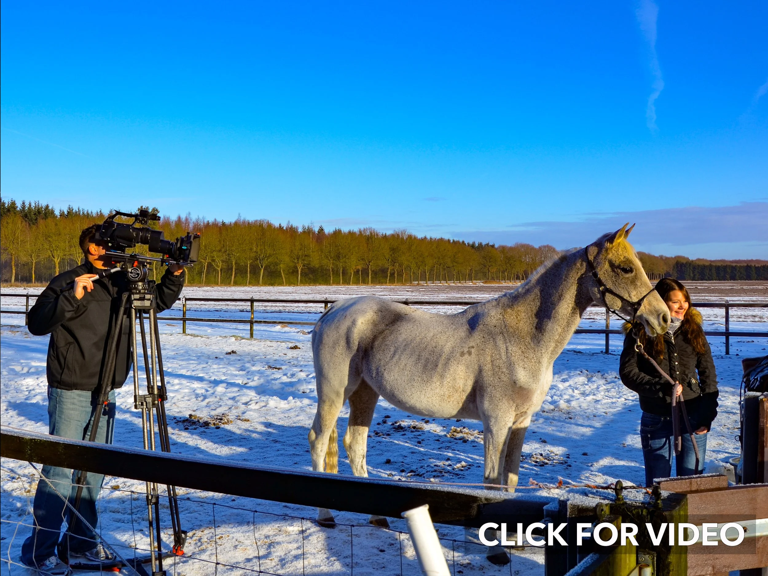 Schoonoord Click for Video.jpg