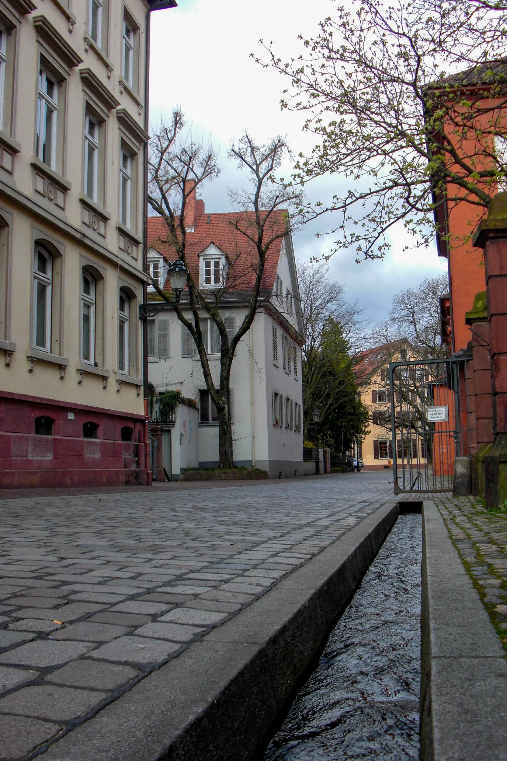 Freiburg drainage.jpg