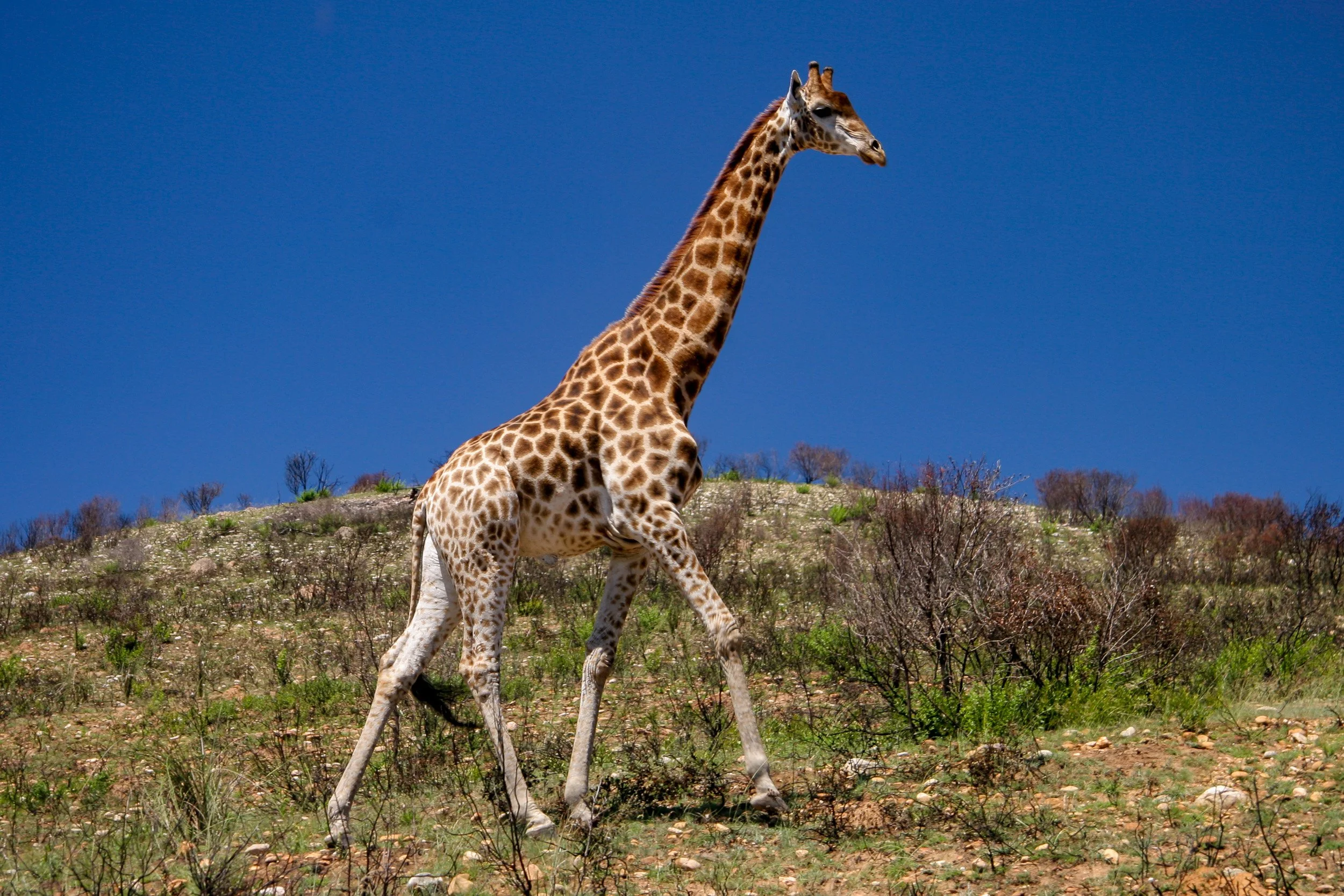 Getting too close for comfort