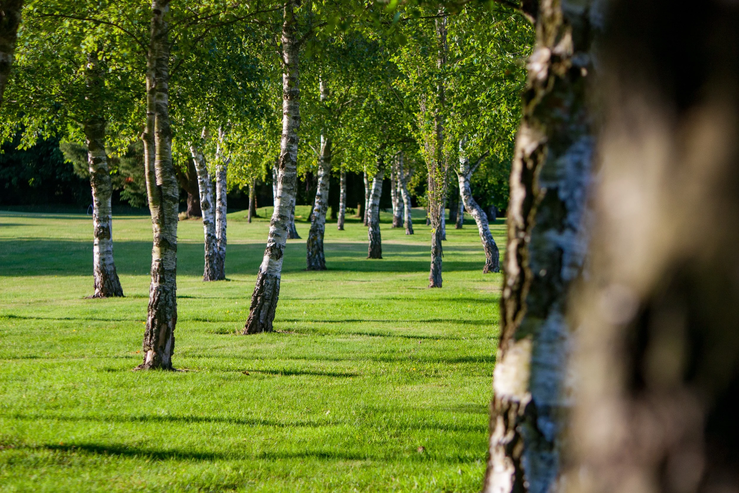 Hilton Avisford Park grounds