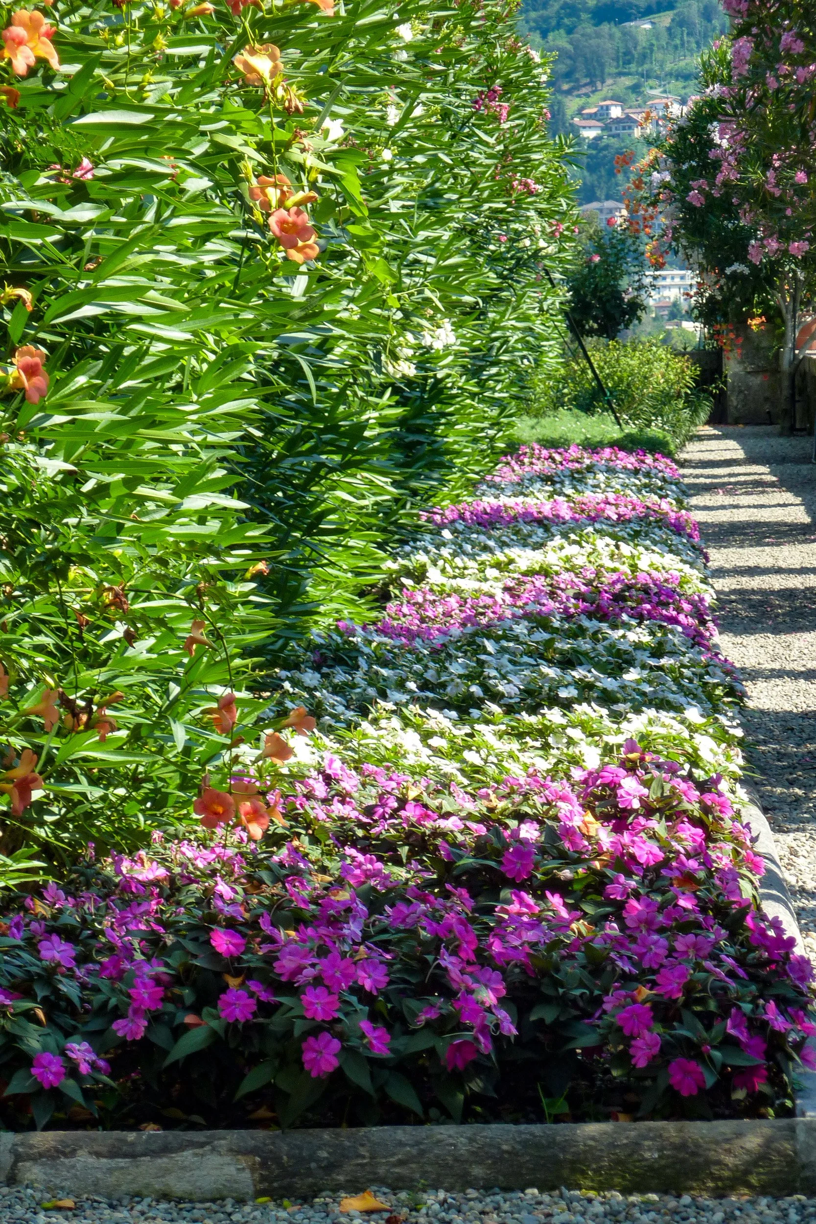 Isola Bella flower bed