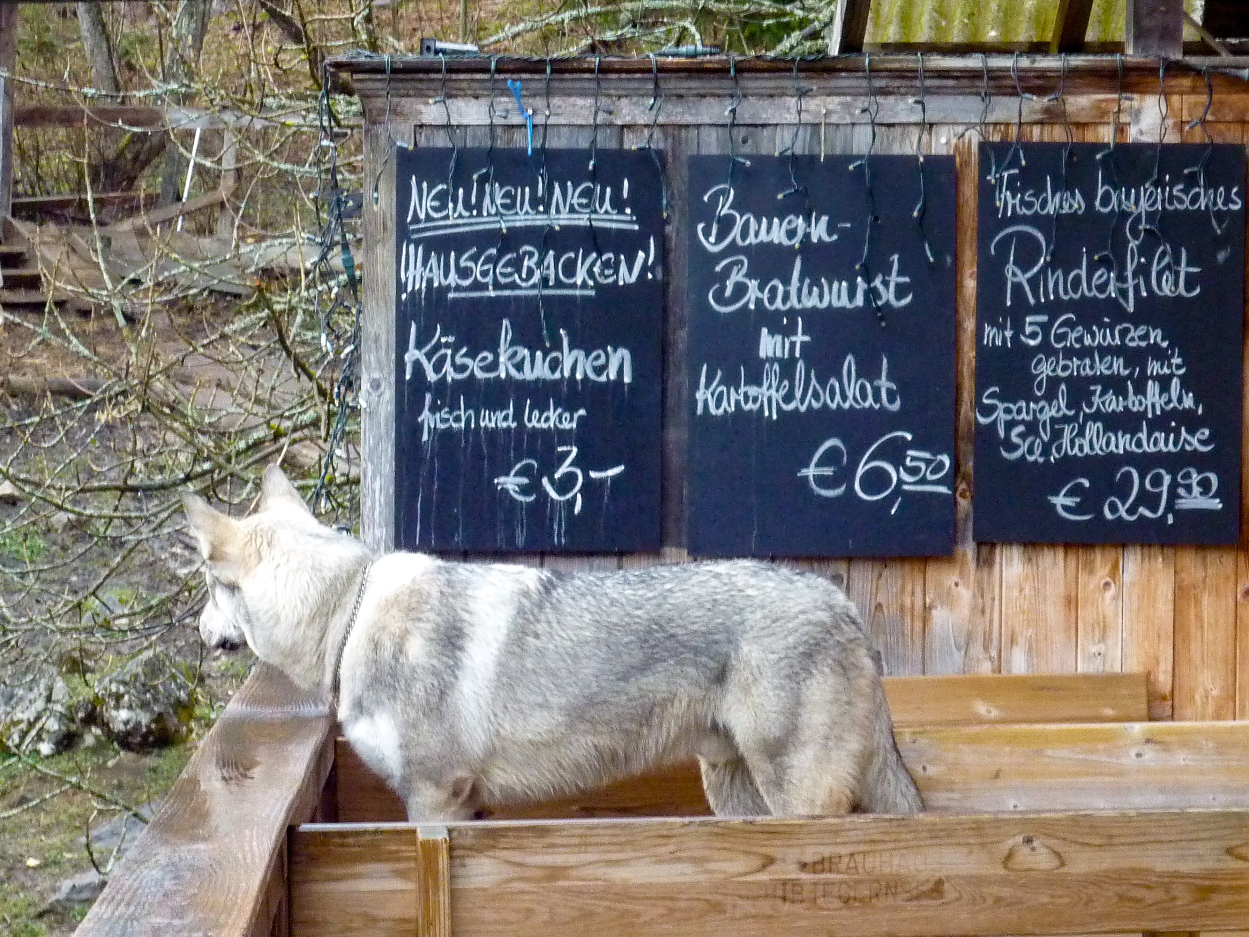 Hafner-Alm protector