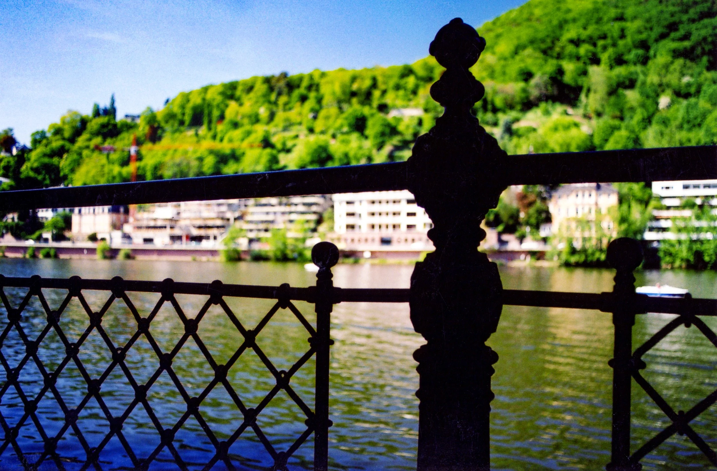 Railing along the Necker in Heidelberg