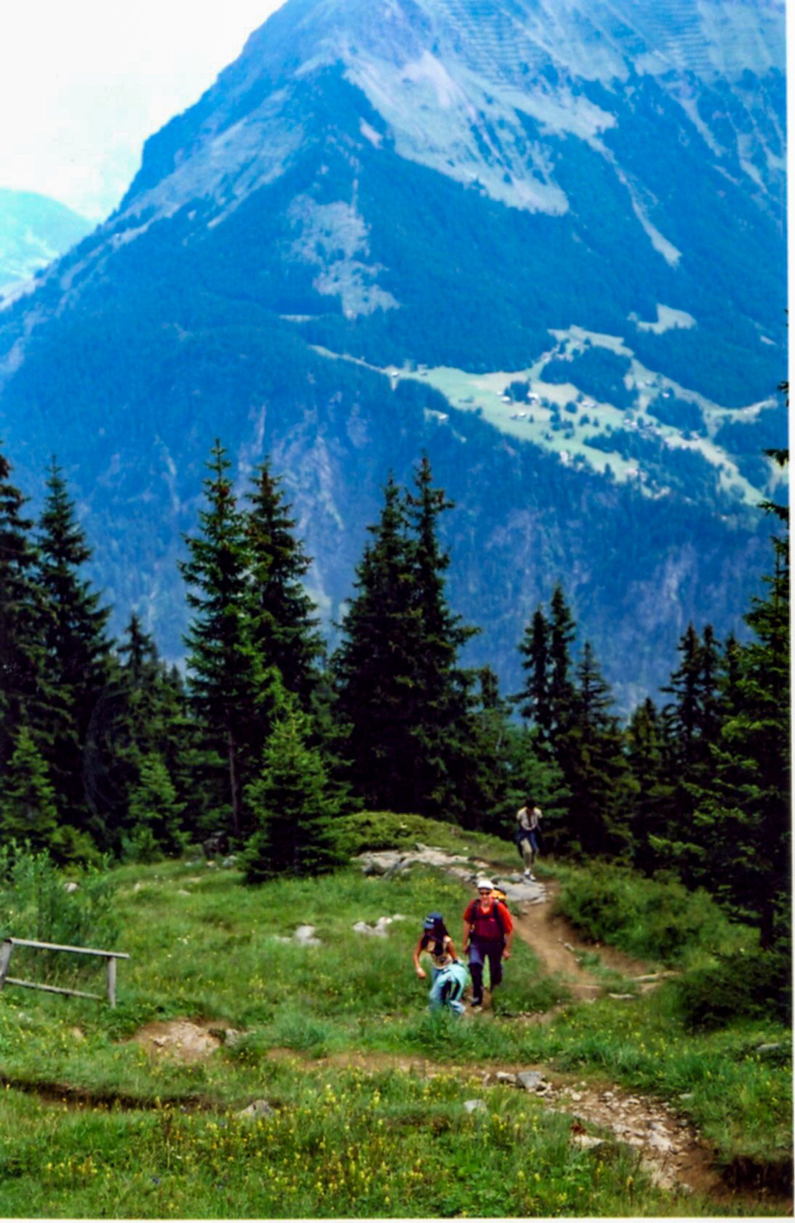 Climb every mountain.jpg