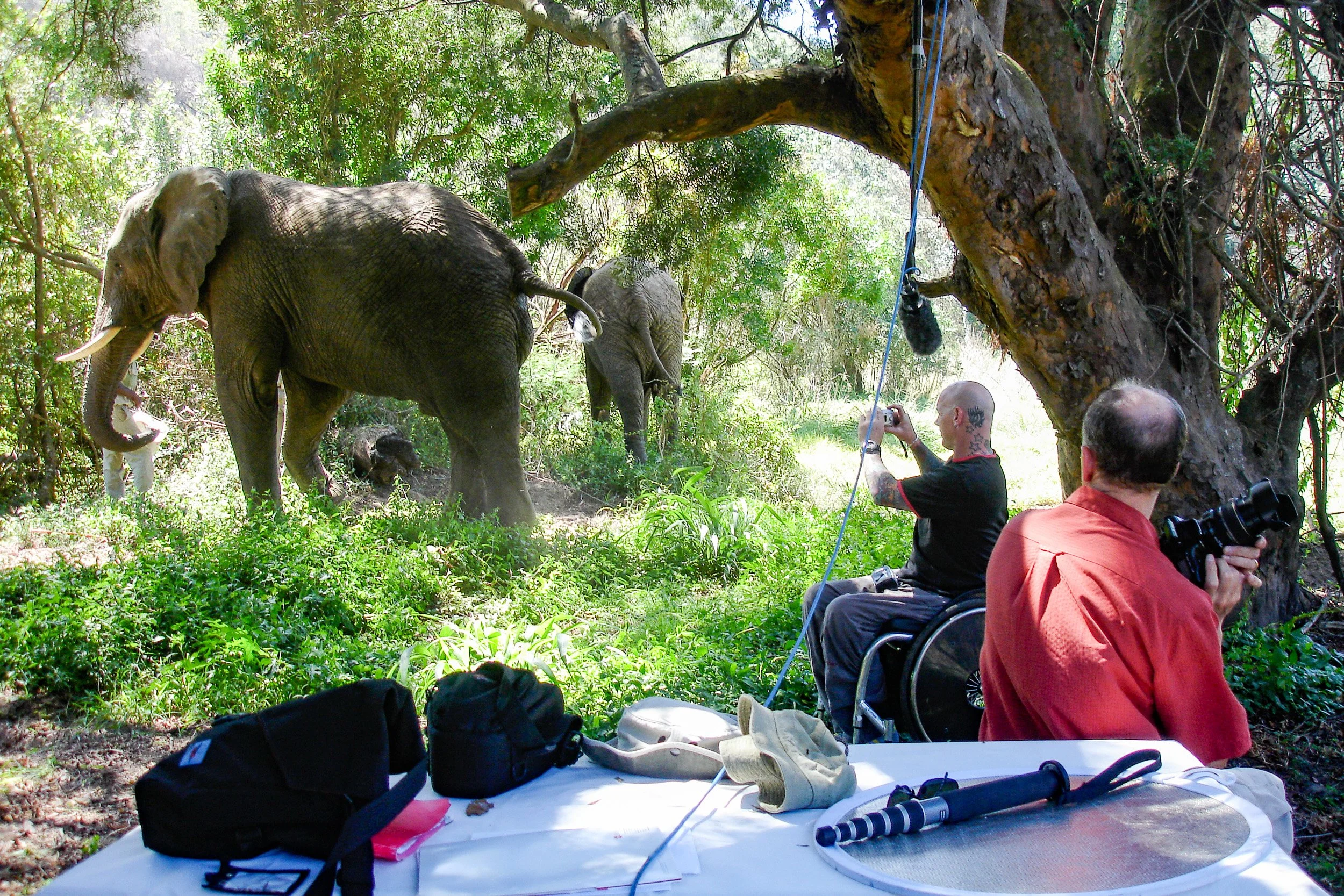 Positioning the elephants over his shoulder seemed like a good idea until they started - and wouldn't stop - defecating