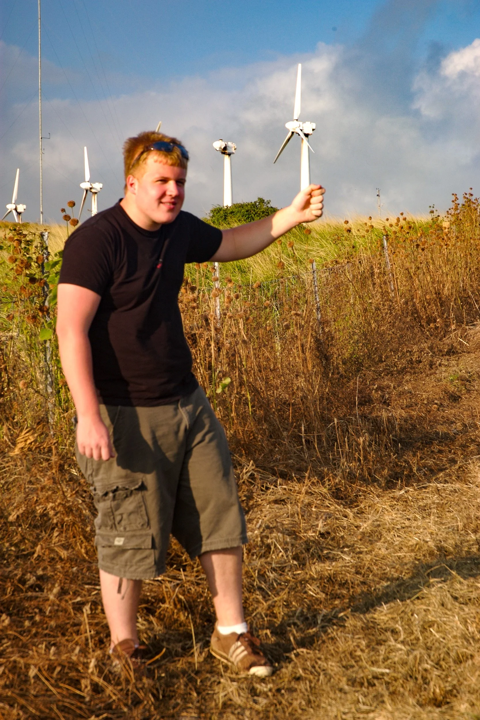 Tilting at windmills.jpg