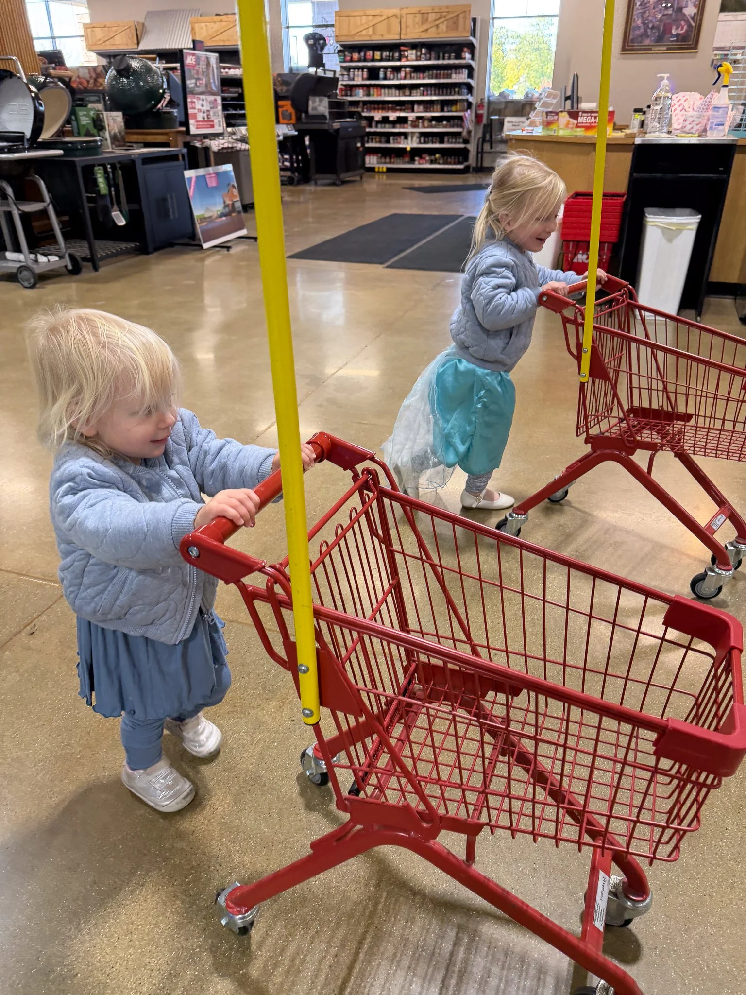 Ace shopping cart team