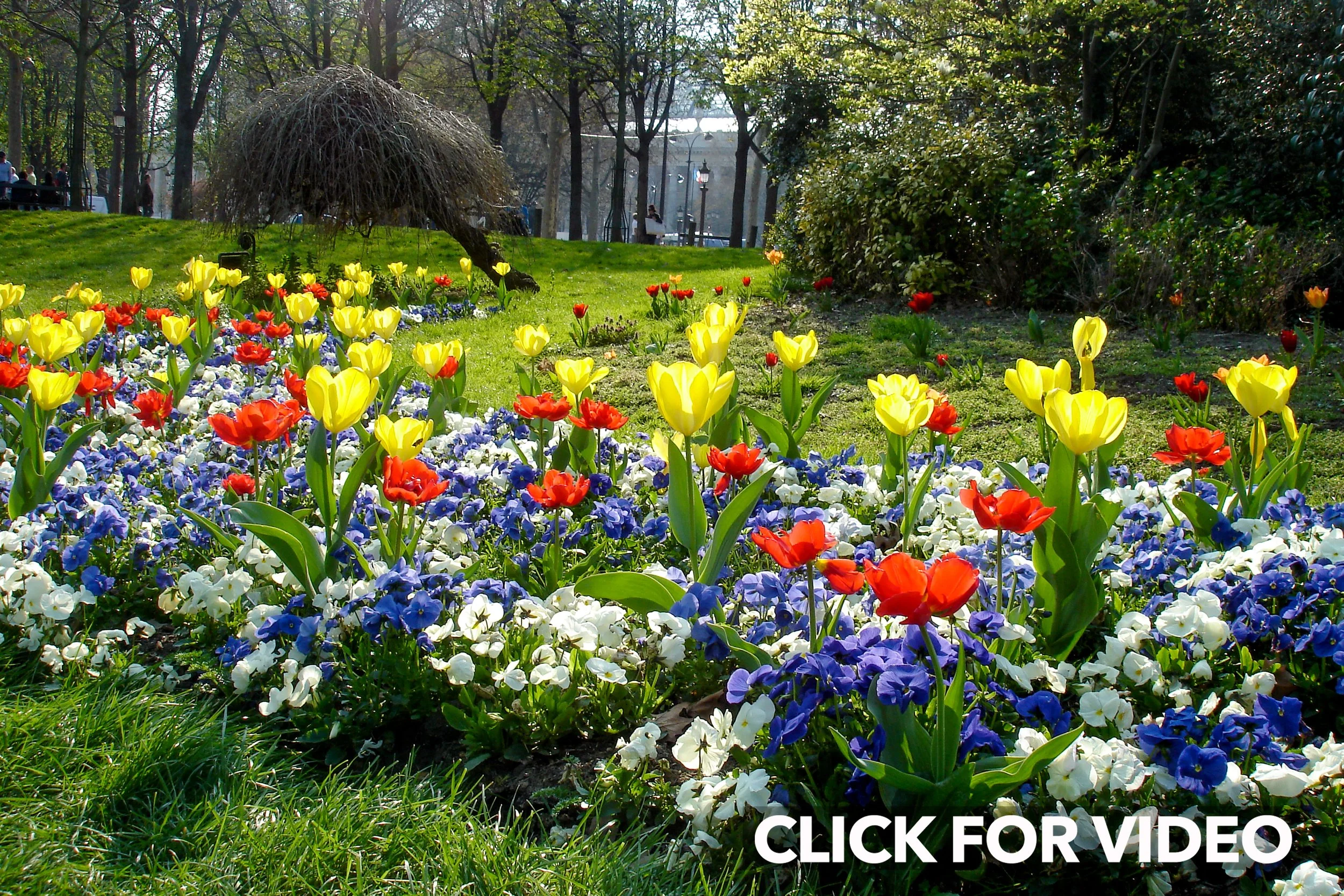 Champs d'Elysee garden near Arc de Triomph