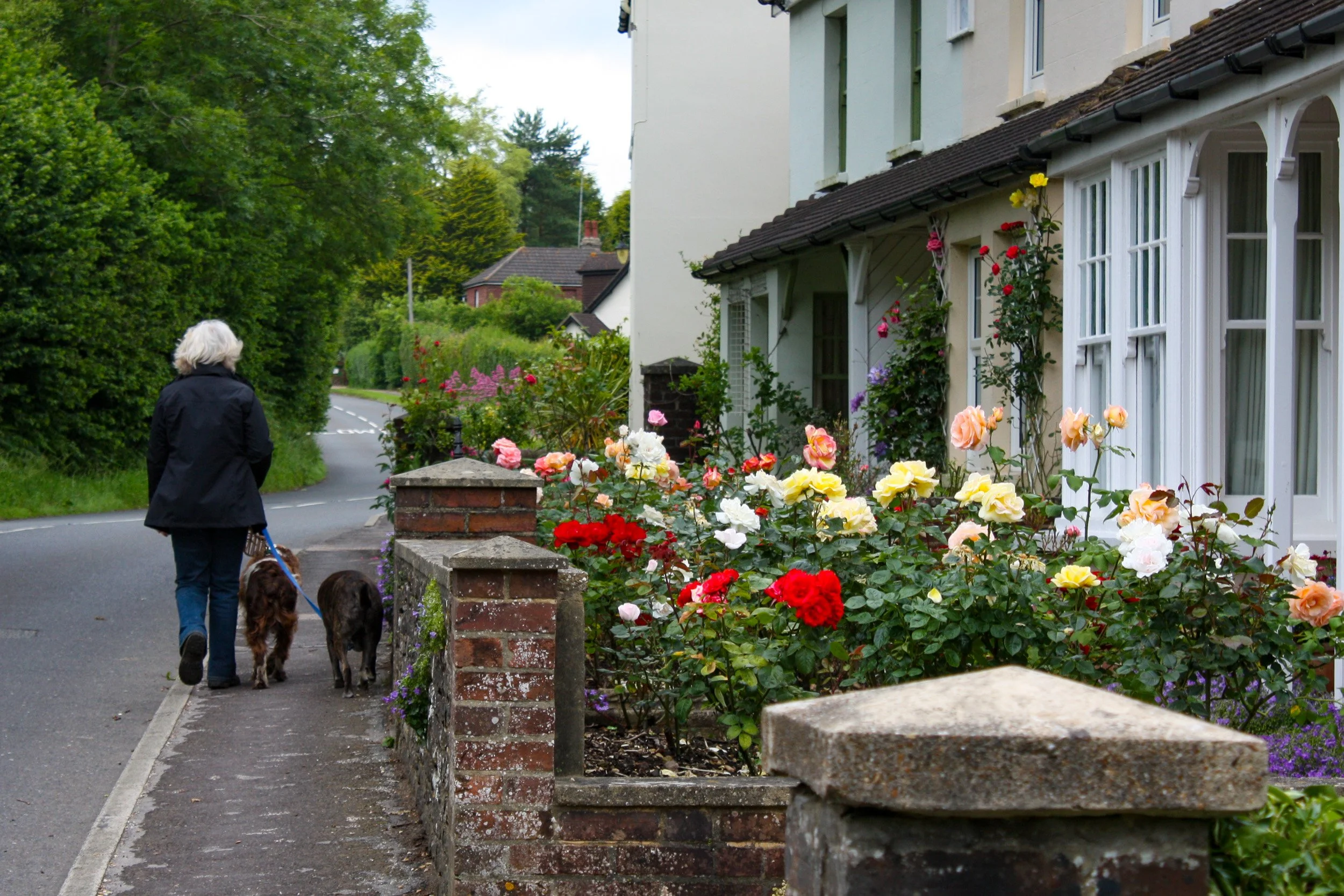 Fittleworth flower boxes
