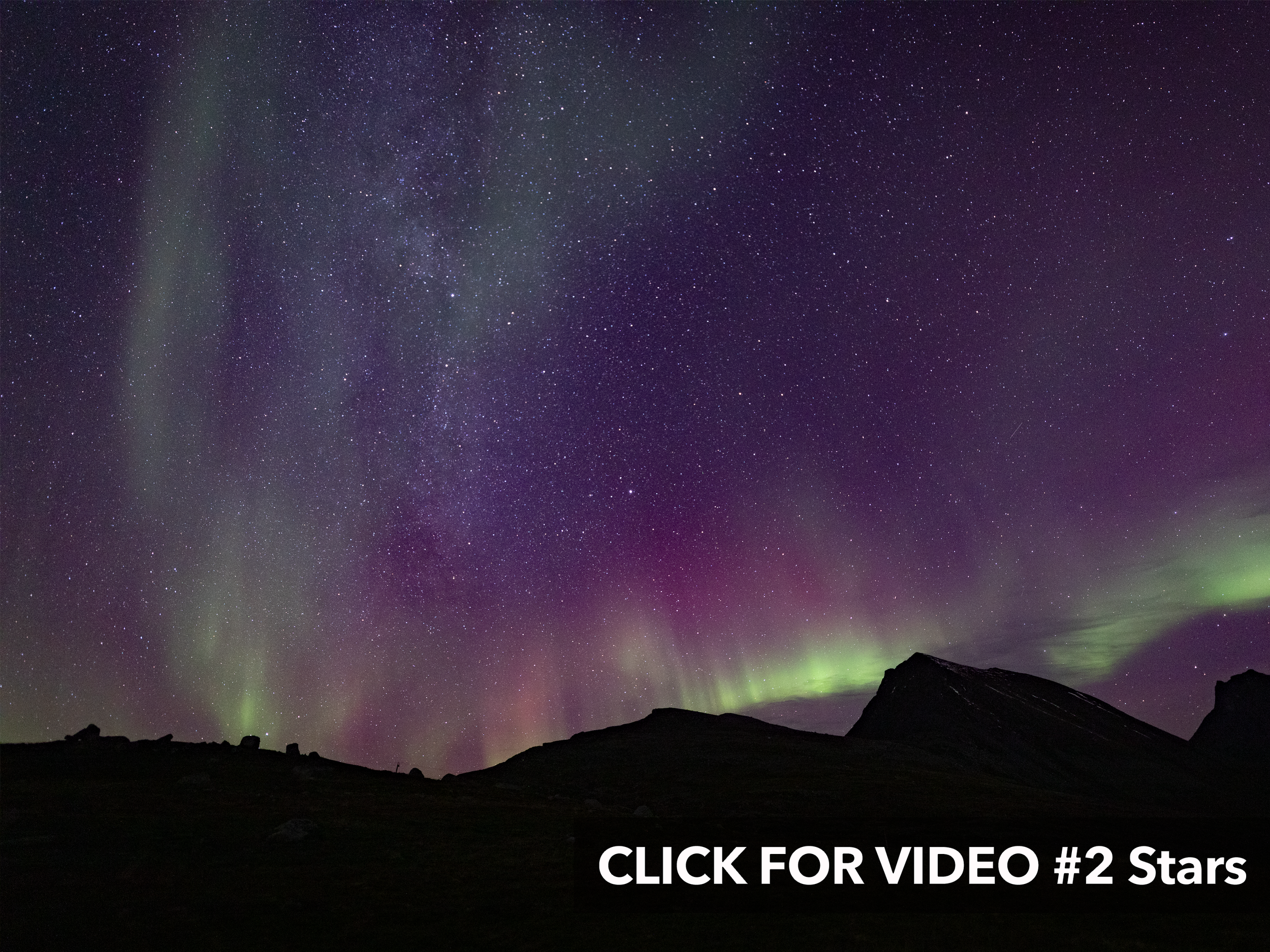 Northern Lights Stars