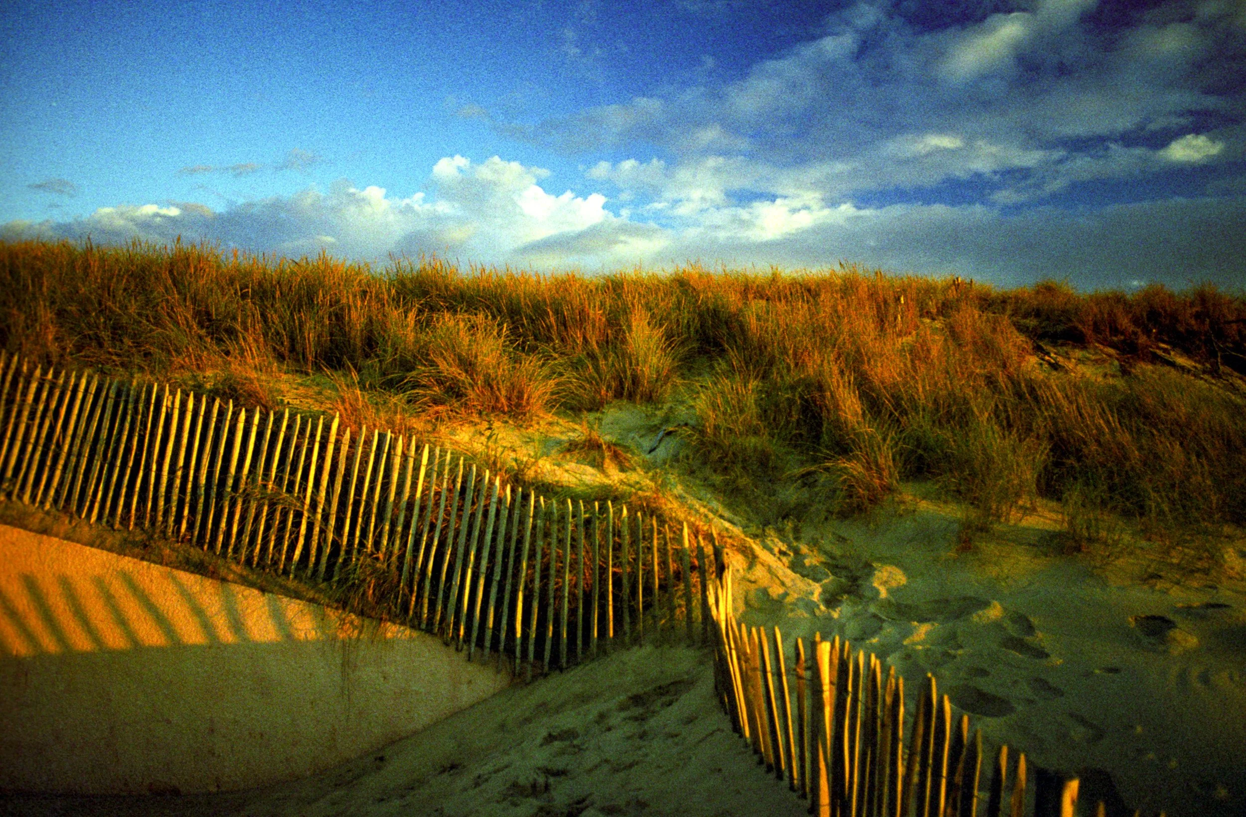 Carcans Plage Sunset