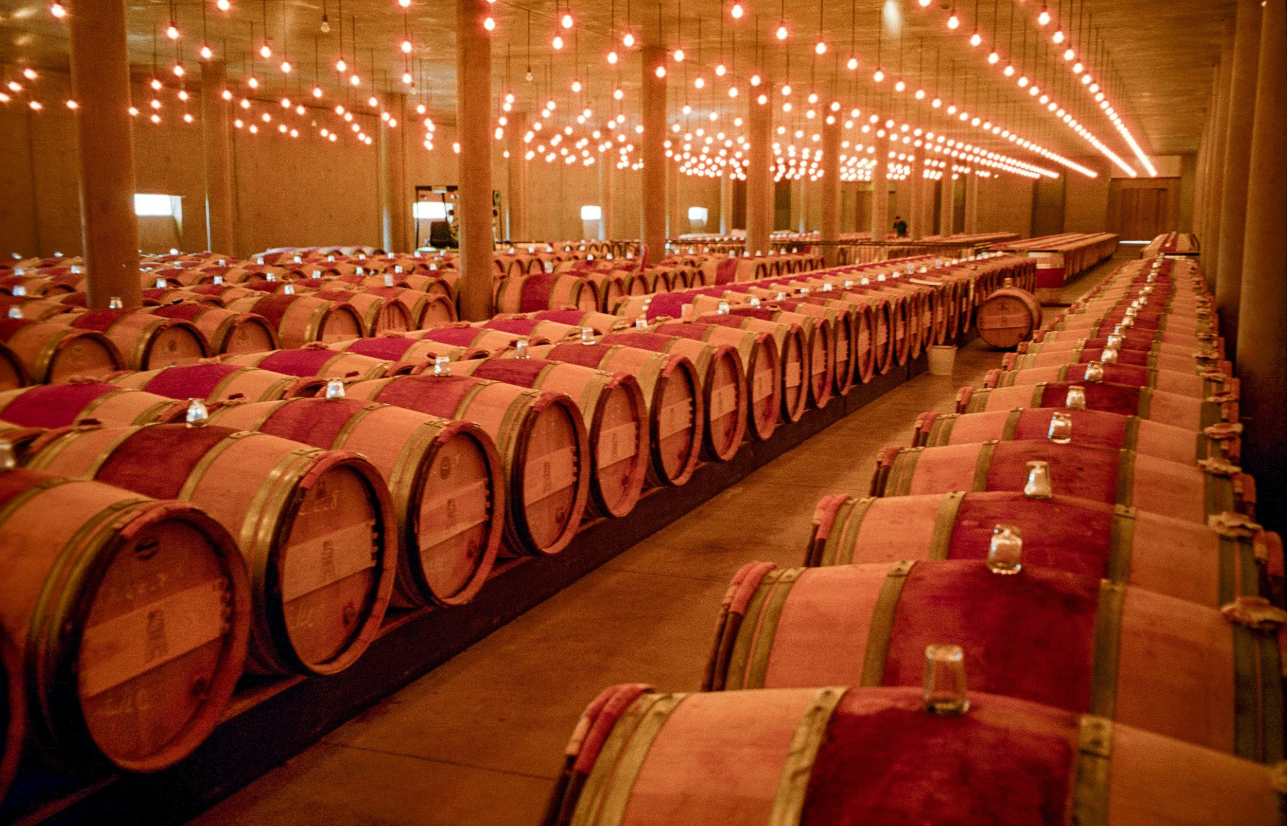 Chateau La Tour barrels