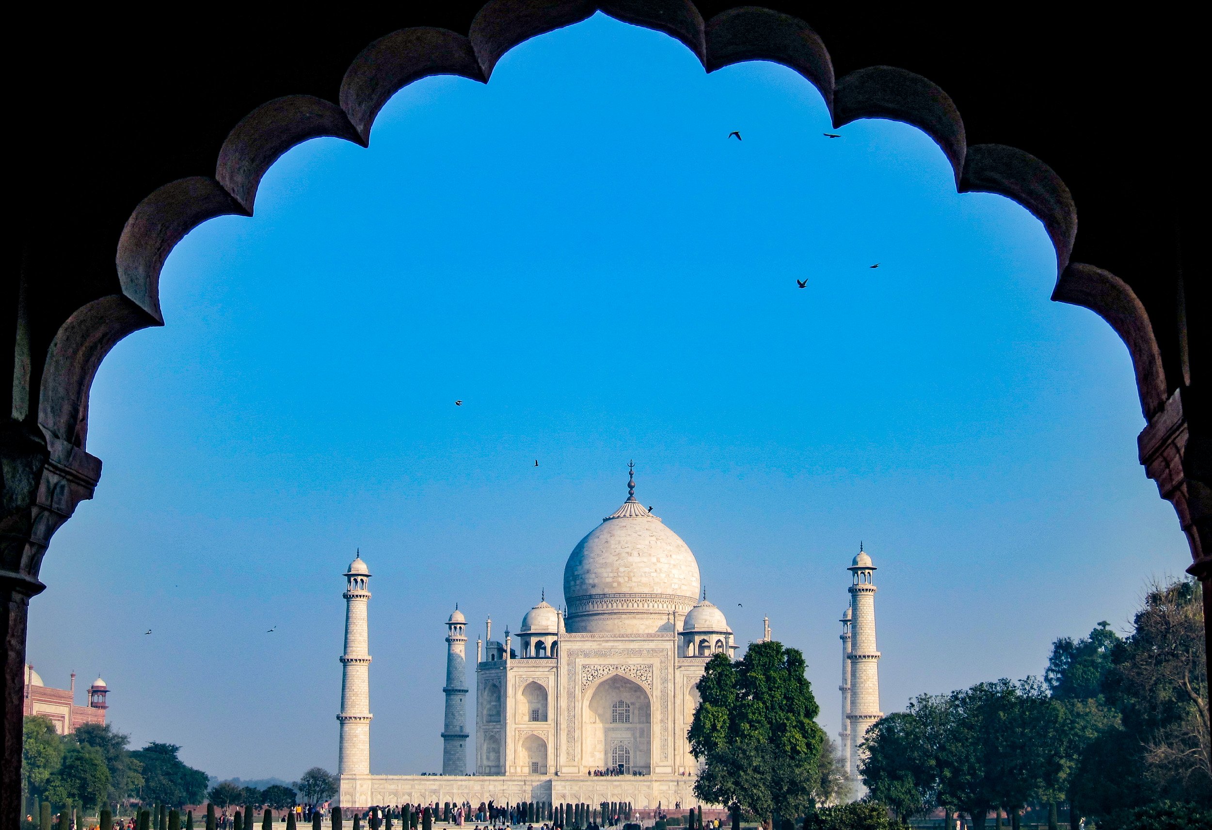 Taj morning