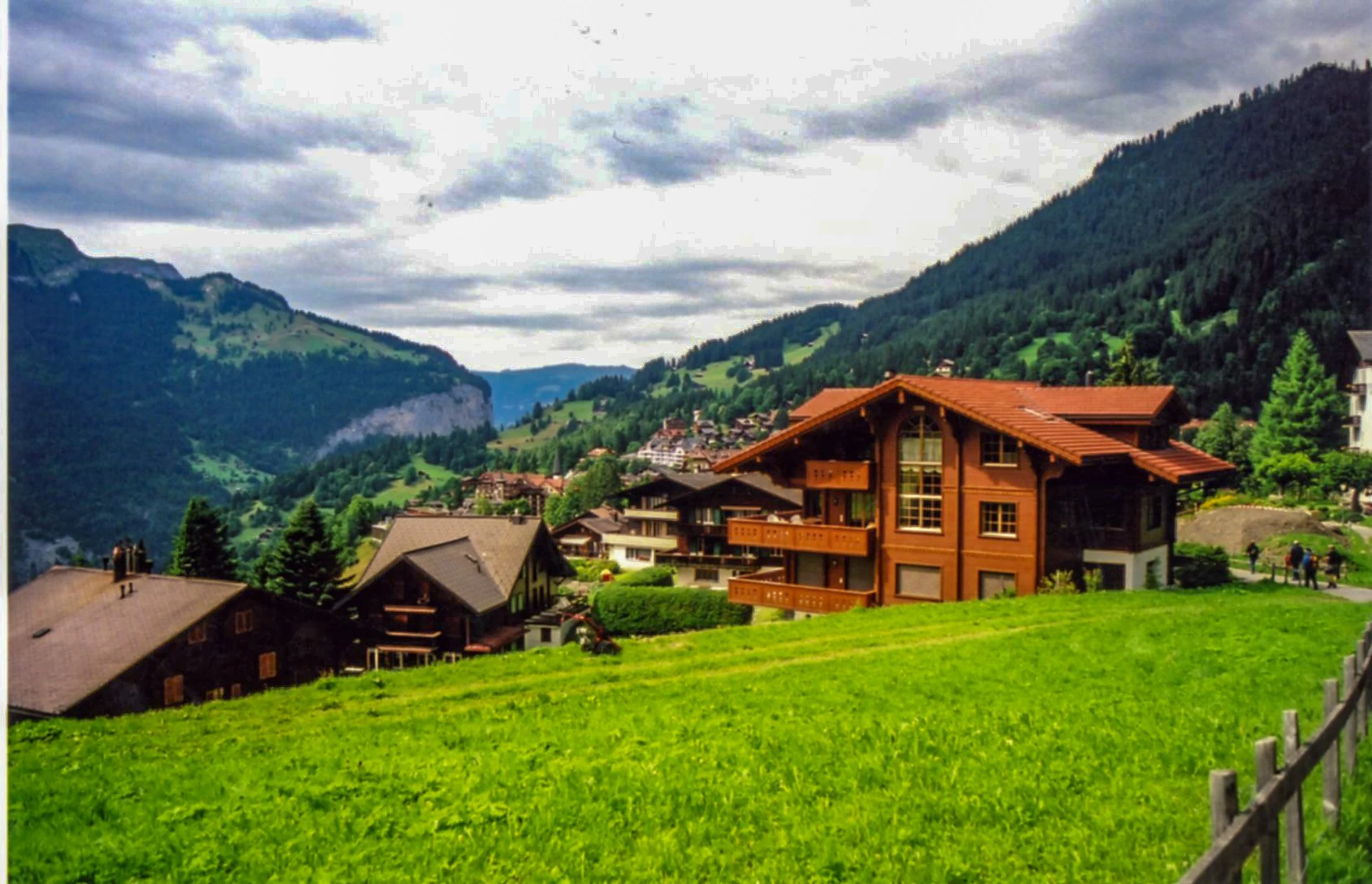 The Chalet in the meadow