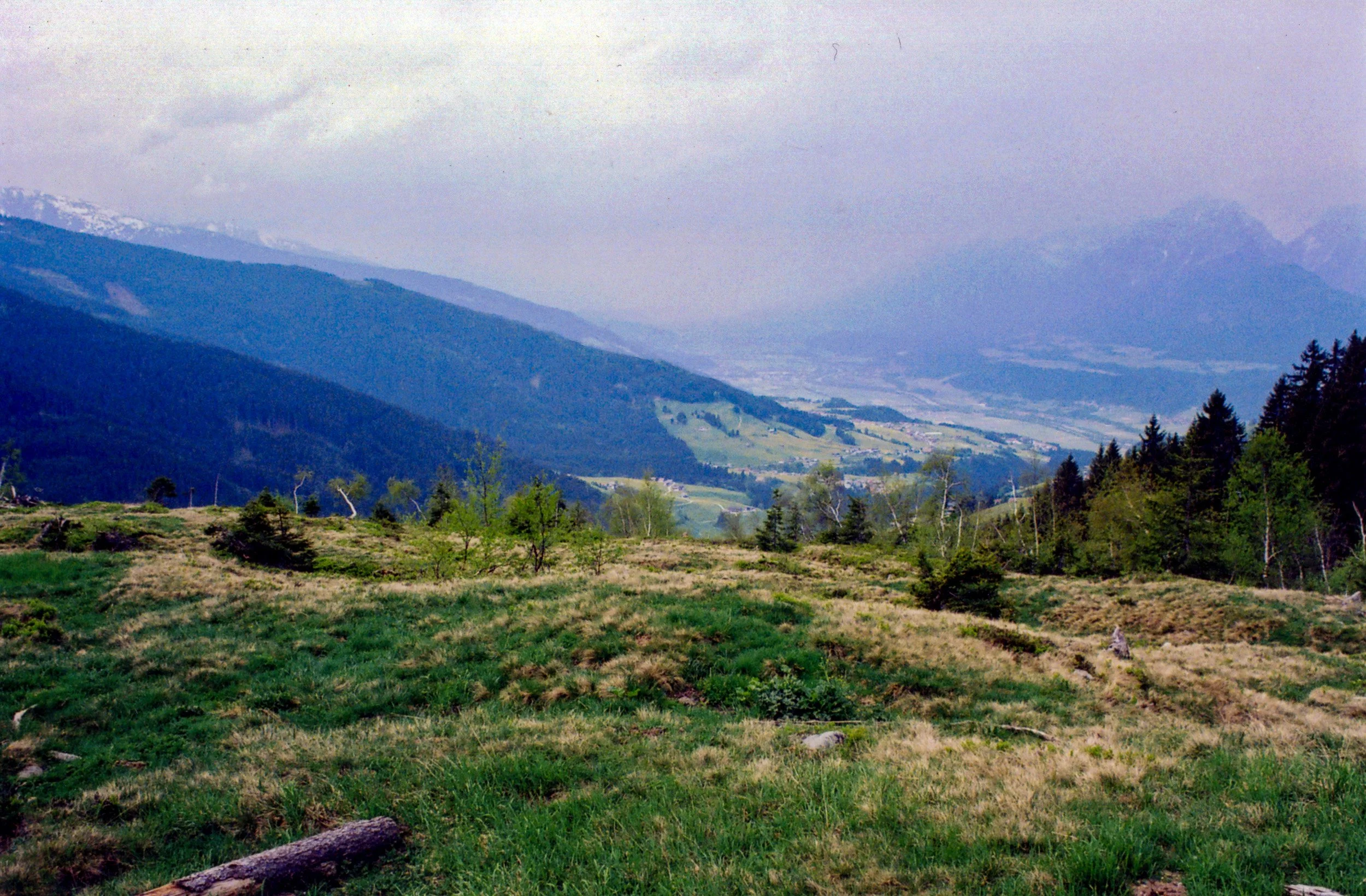 Black Forest near Kandelberg