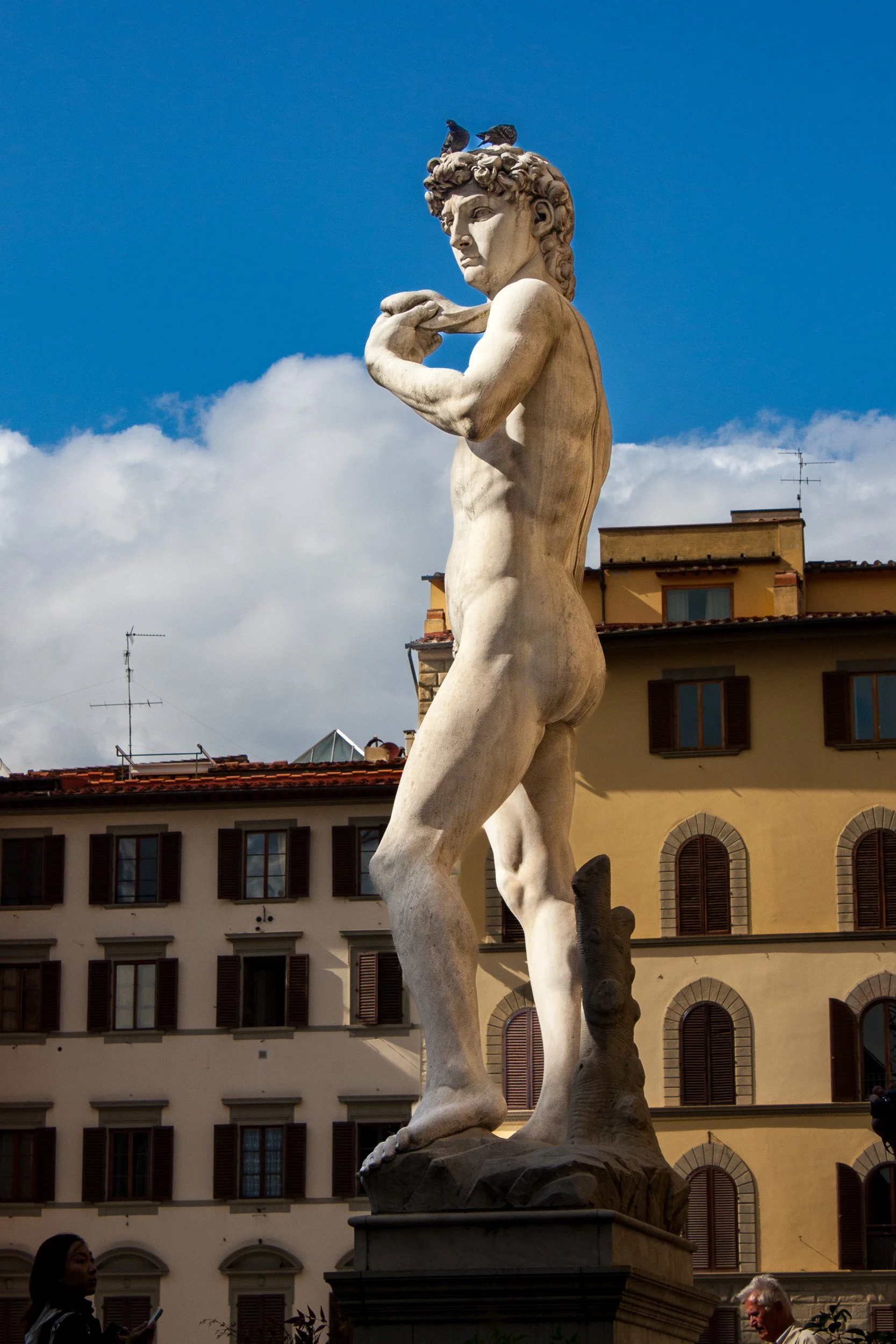 David in the piazza