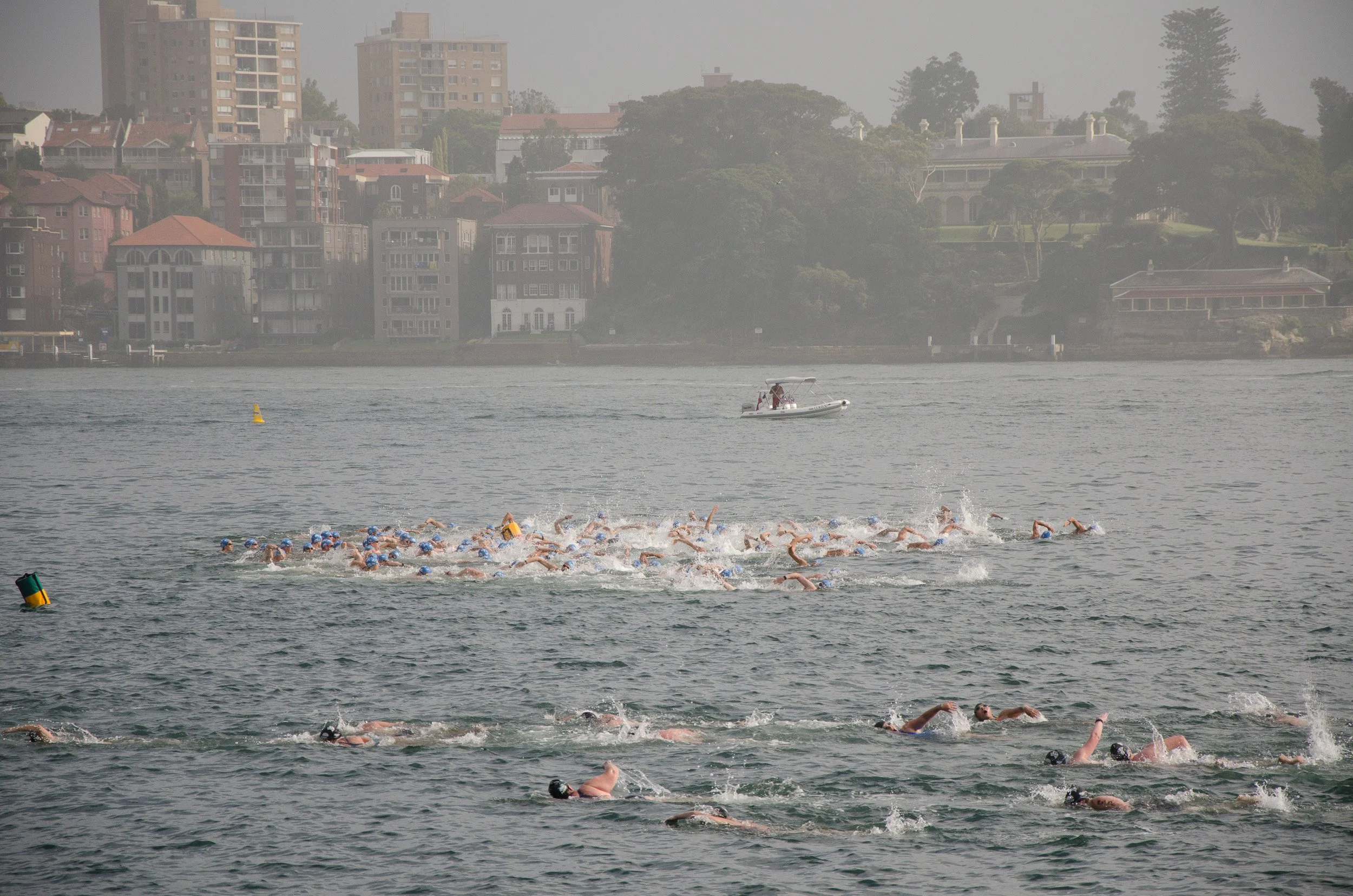 Harbor swim race