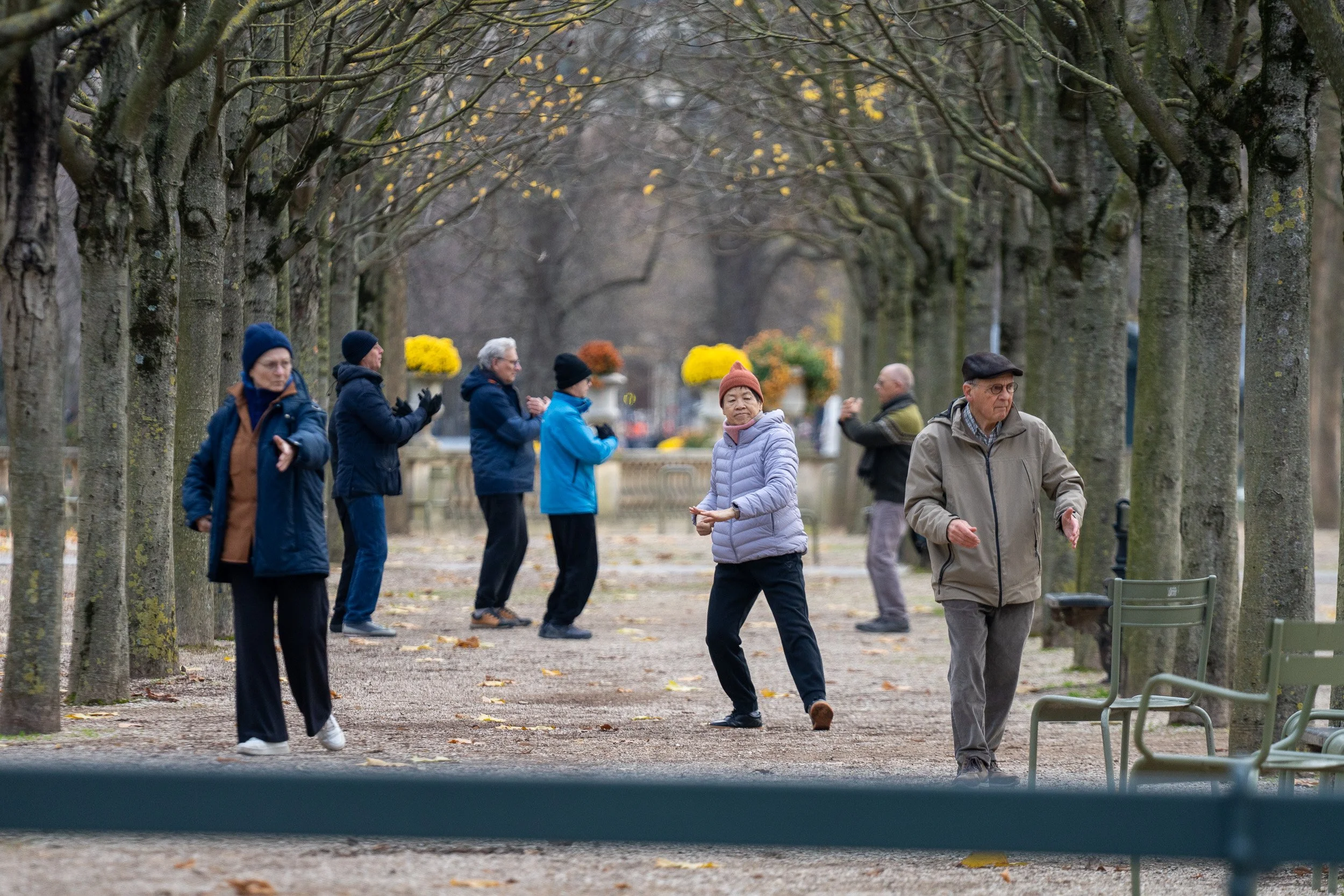 Tai chi in the Luxembourg Gardens.
