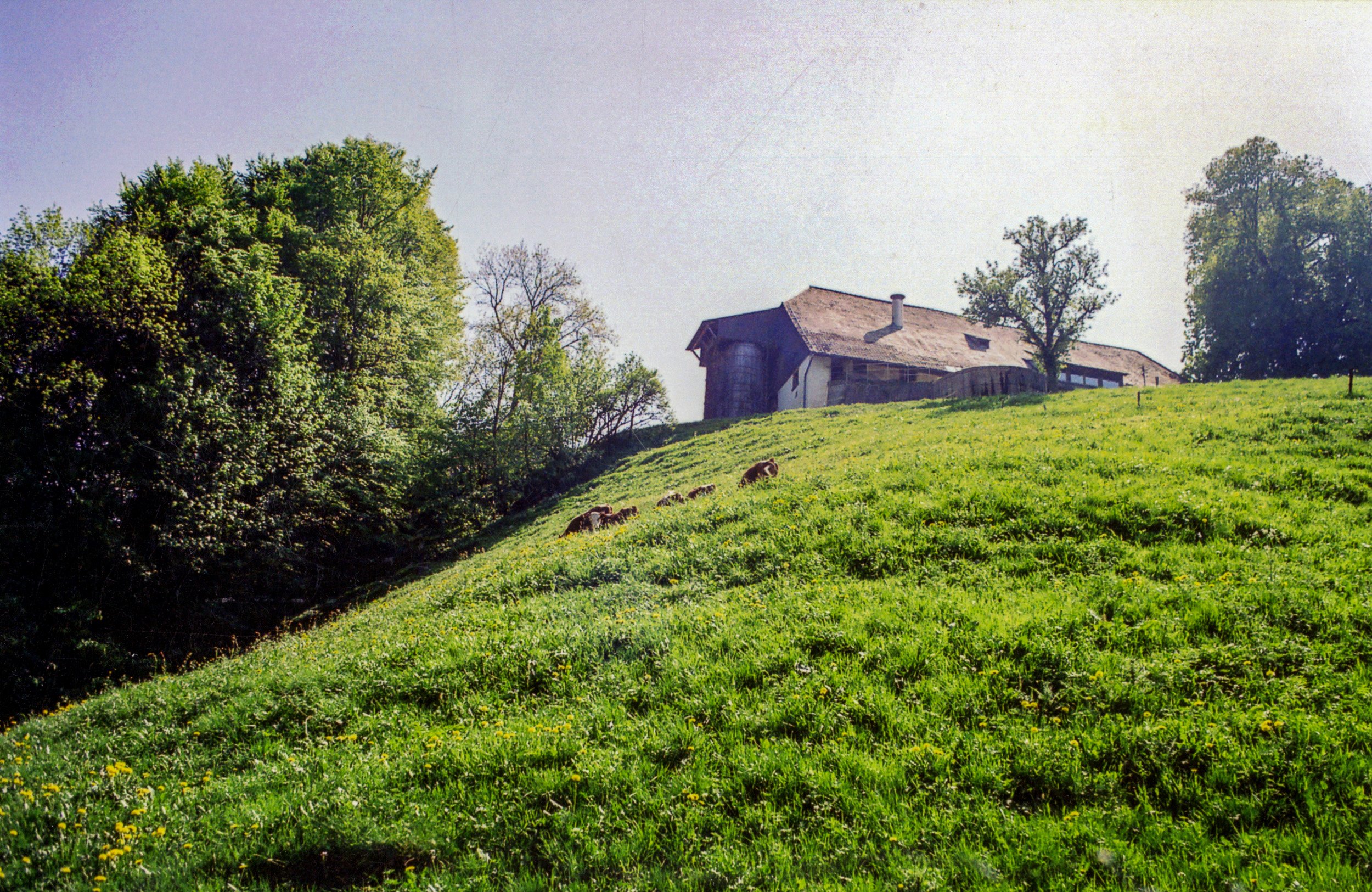 Austrian countryside