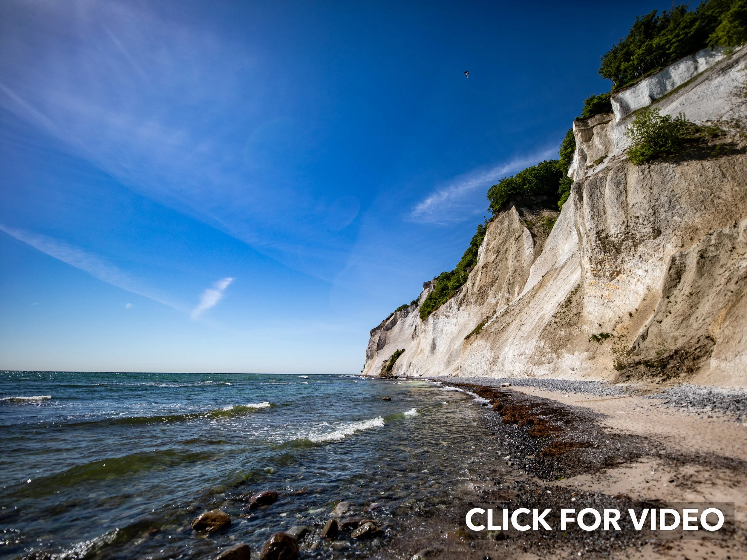 White Cliffs of Denmark. Møns Klint. CLICK IMAGE FOR VIDEO.