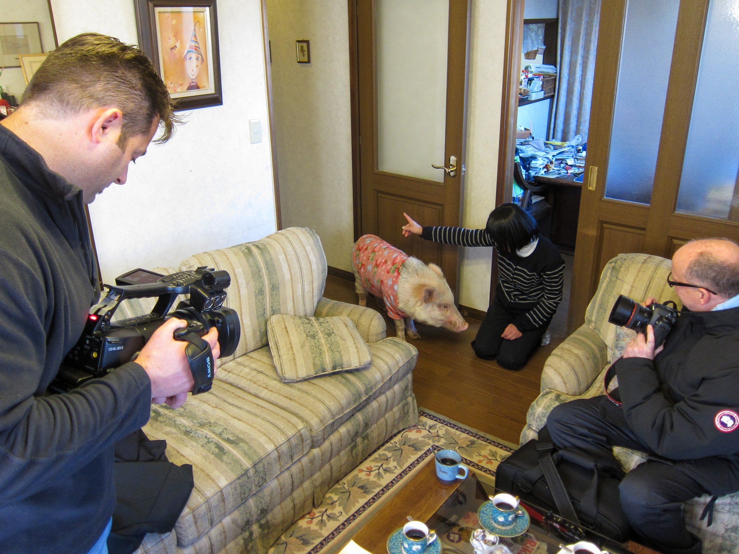 Being introduced to the family pet