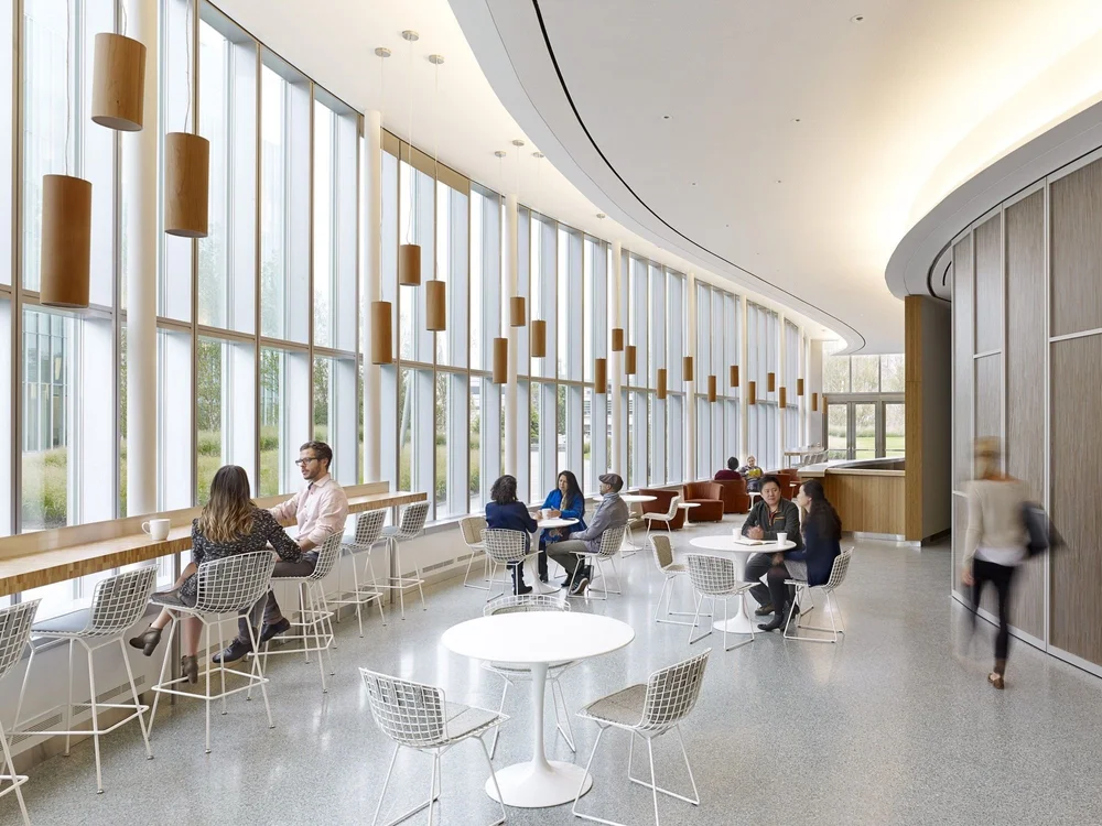 Openings — The Guo Lab