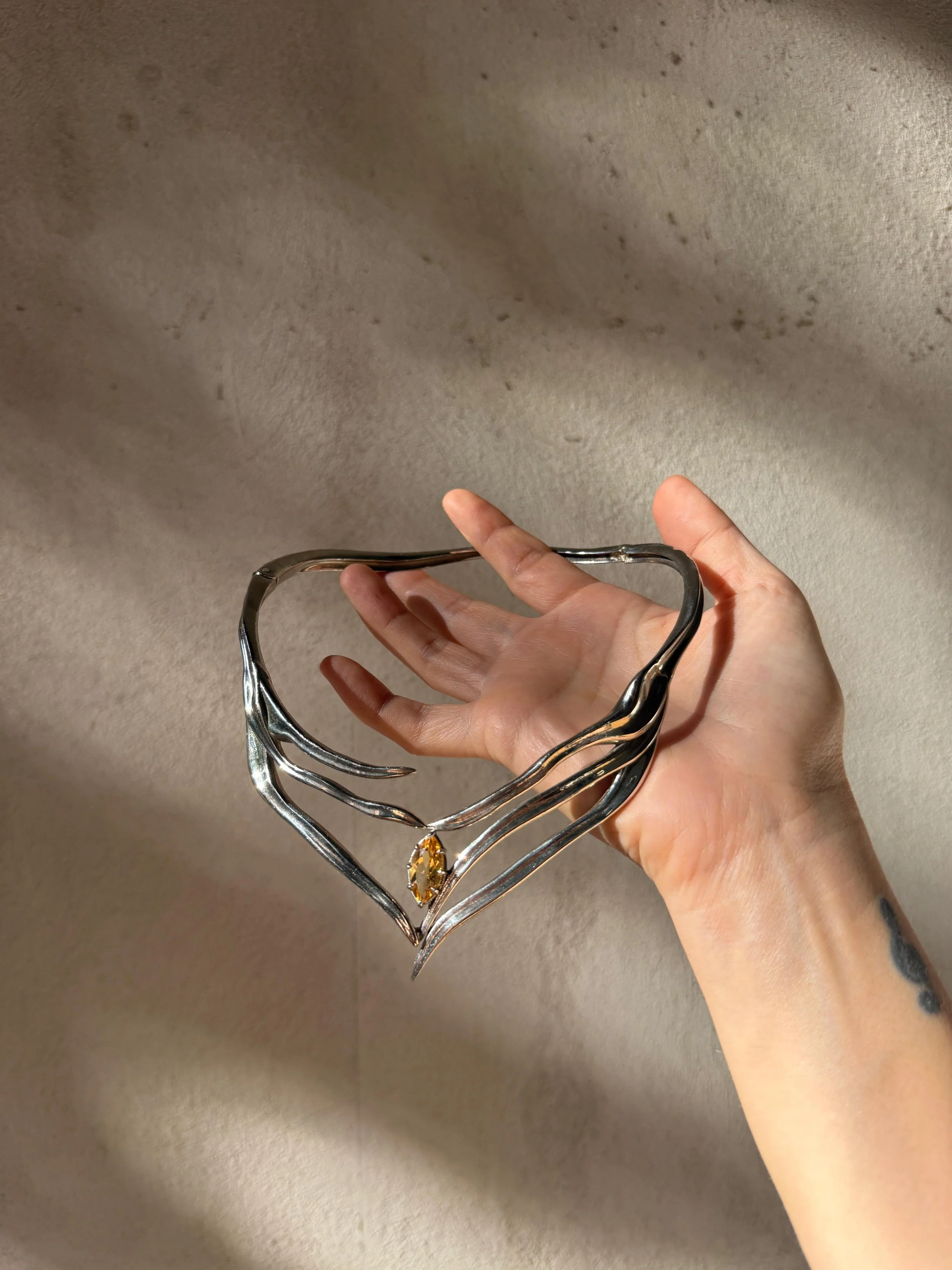 WhatsApp Image 2026-01-05 at 3.54.42 PM.jpeg