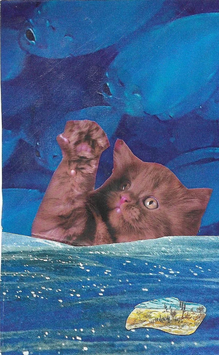 Fish Outta Water - Analog Collage. 2026