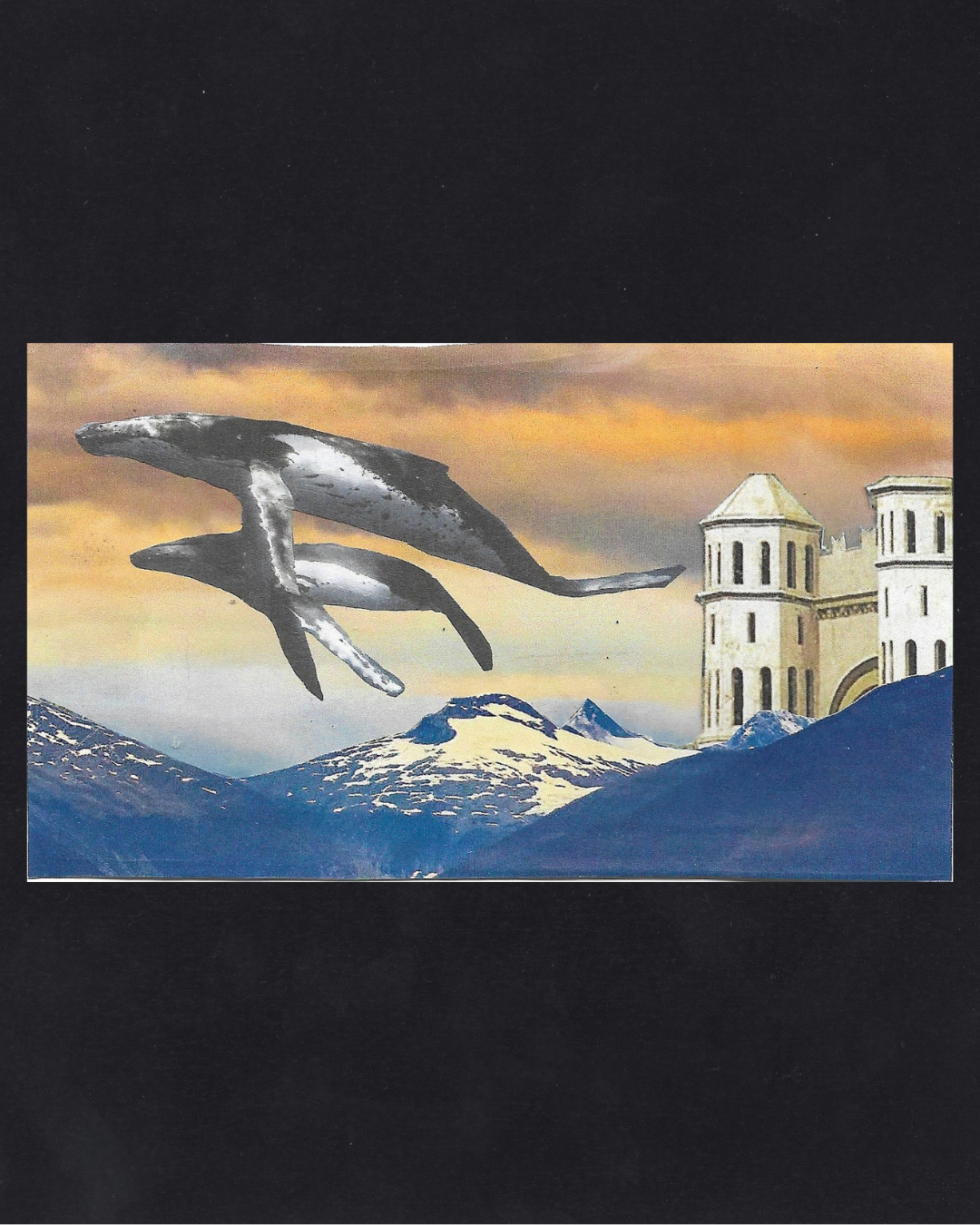 Untitled design 2.png