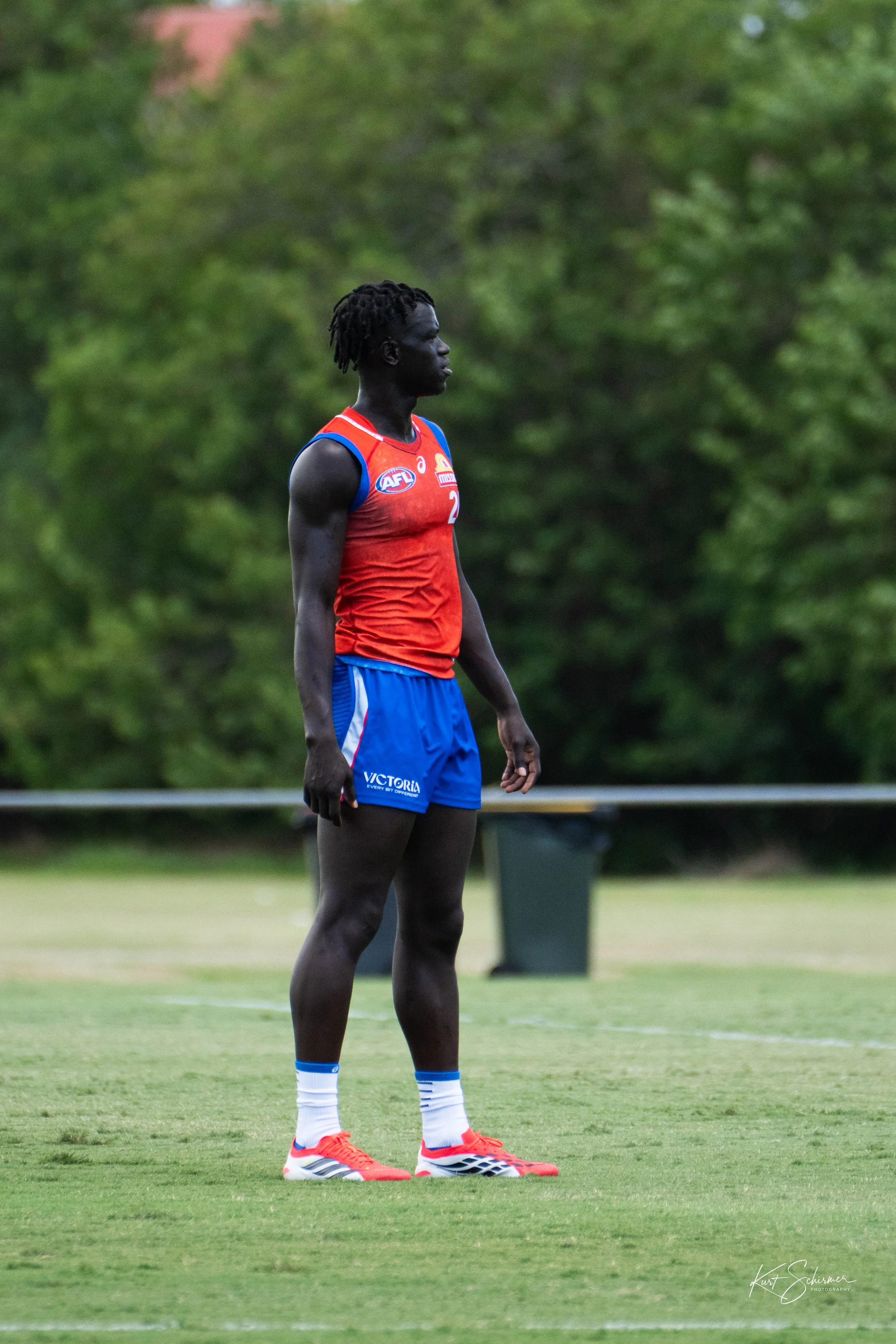 Western Bulldogs 4.jpg