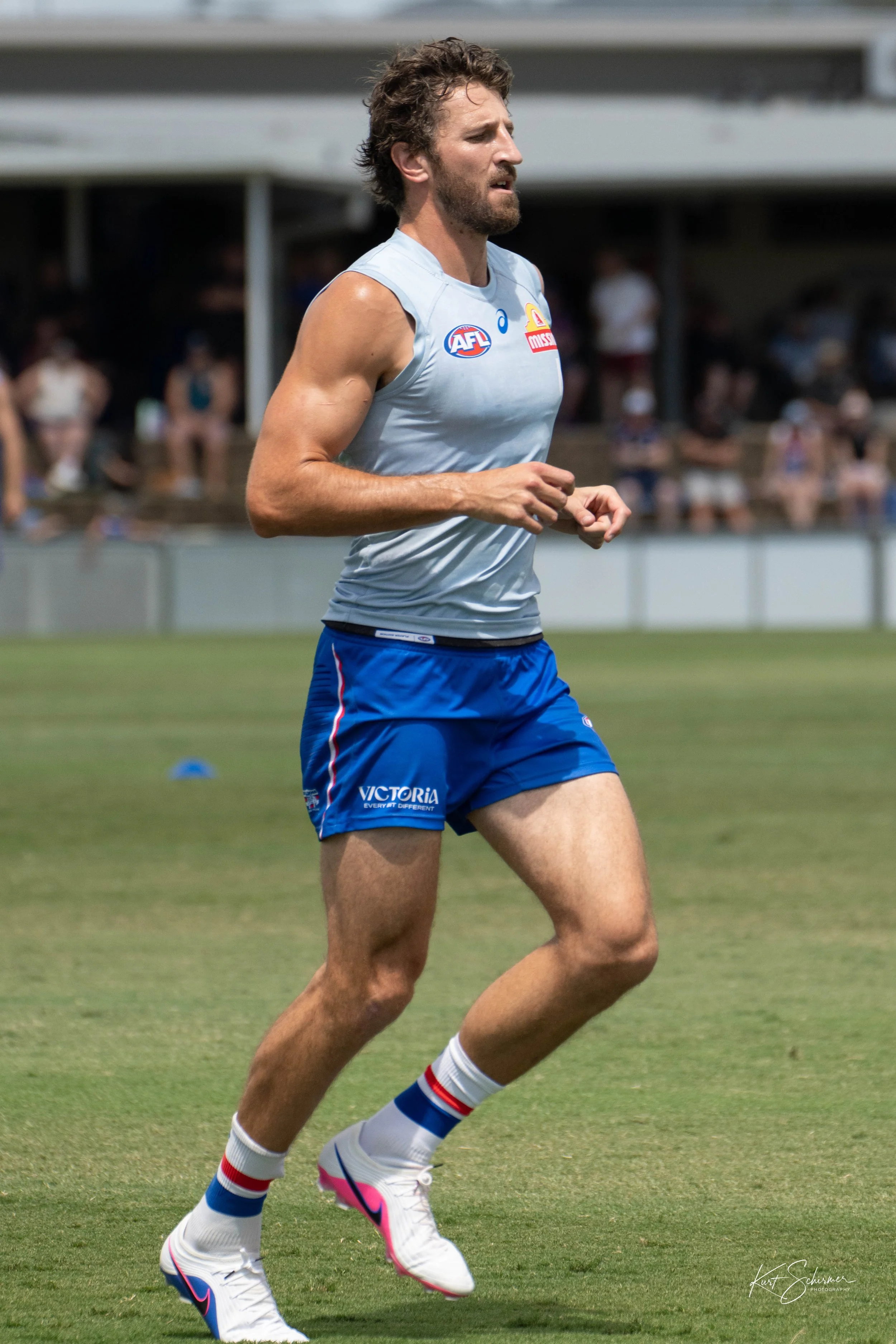 Western Bulldogs 6.jpg