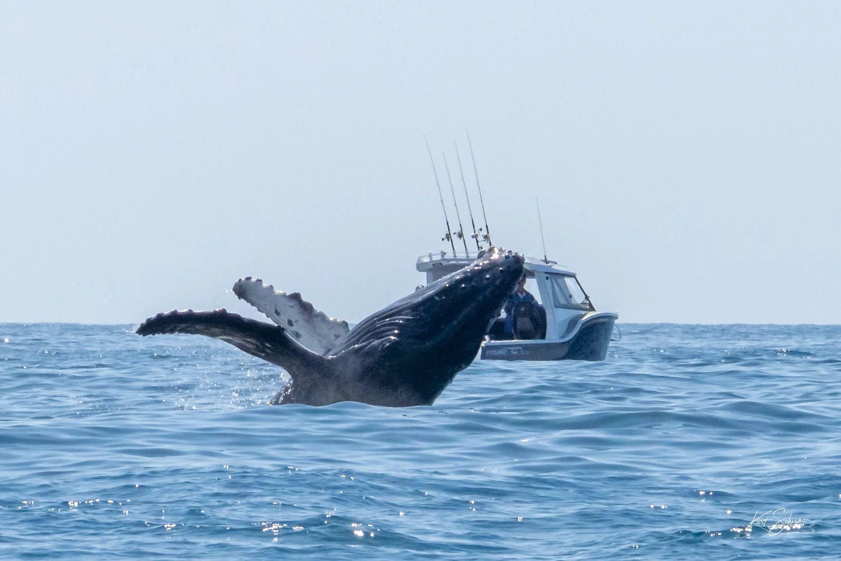 Jetski Whales-10.jpg
