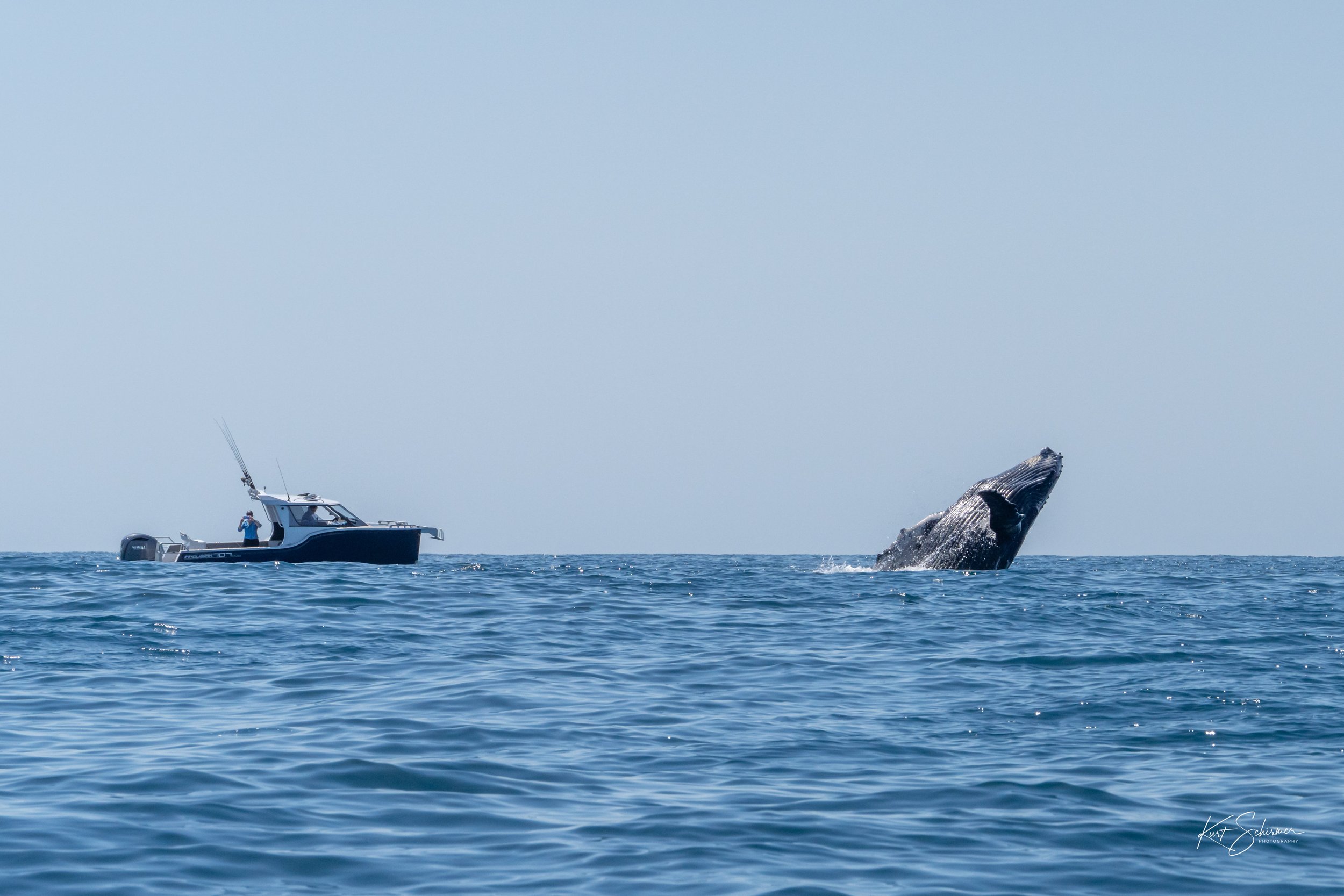 Jetski Whales-14.jpg