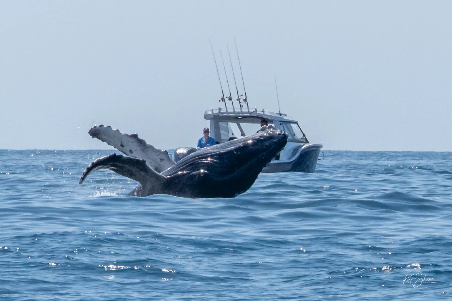 Jetski Whales-11.jpg