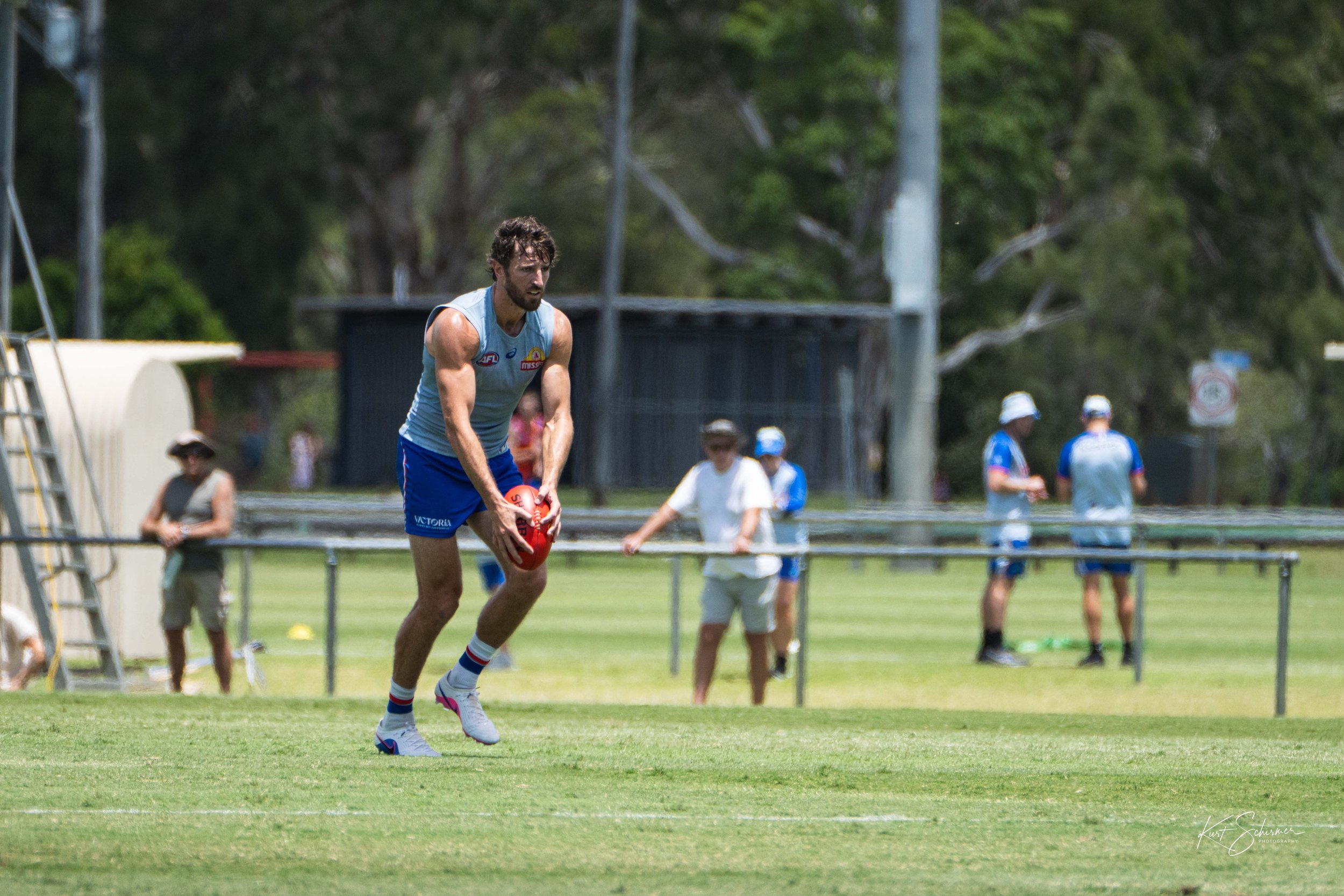 Western Bulldogs.jpg