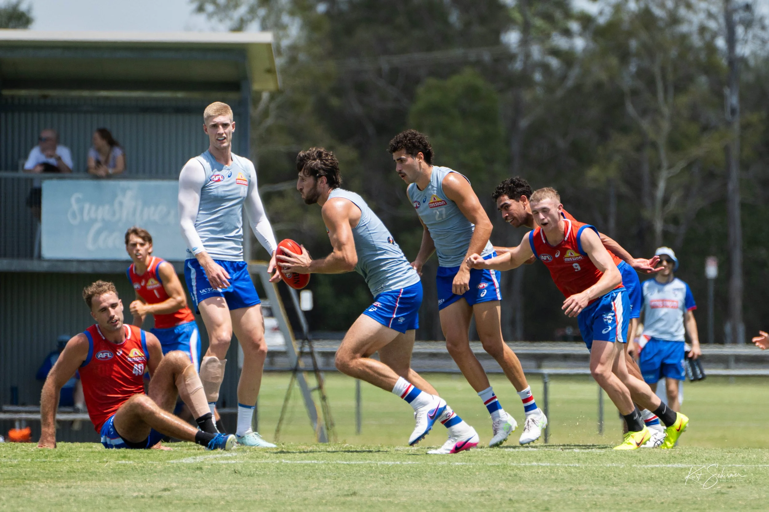 Western Bulldogs 2.jpg