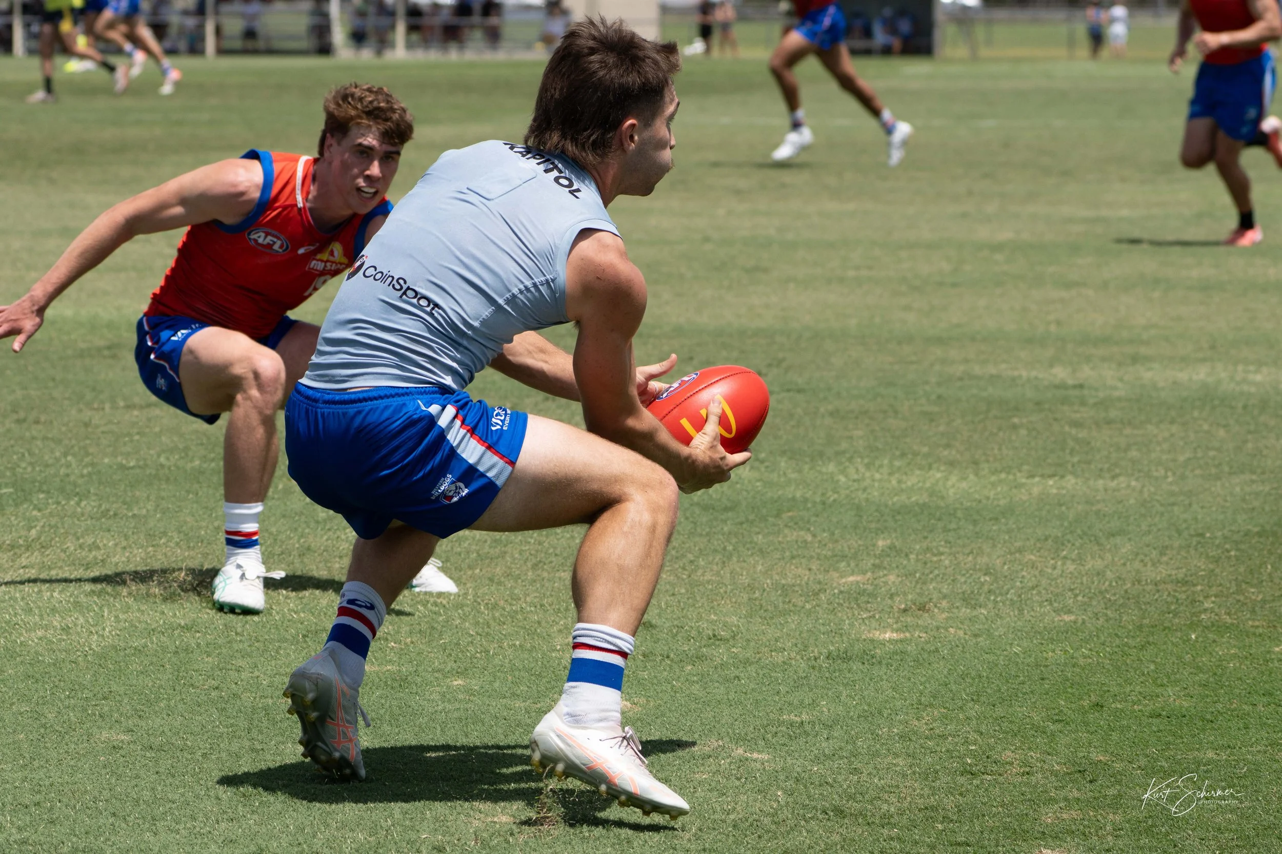 Western Bulldogs 3.jpg