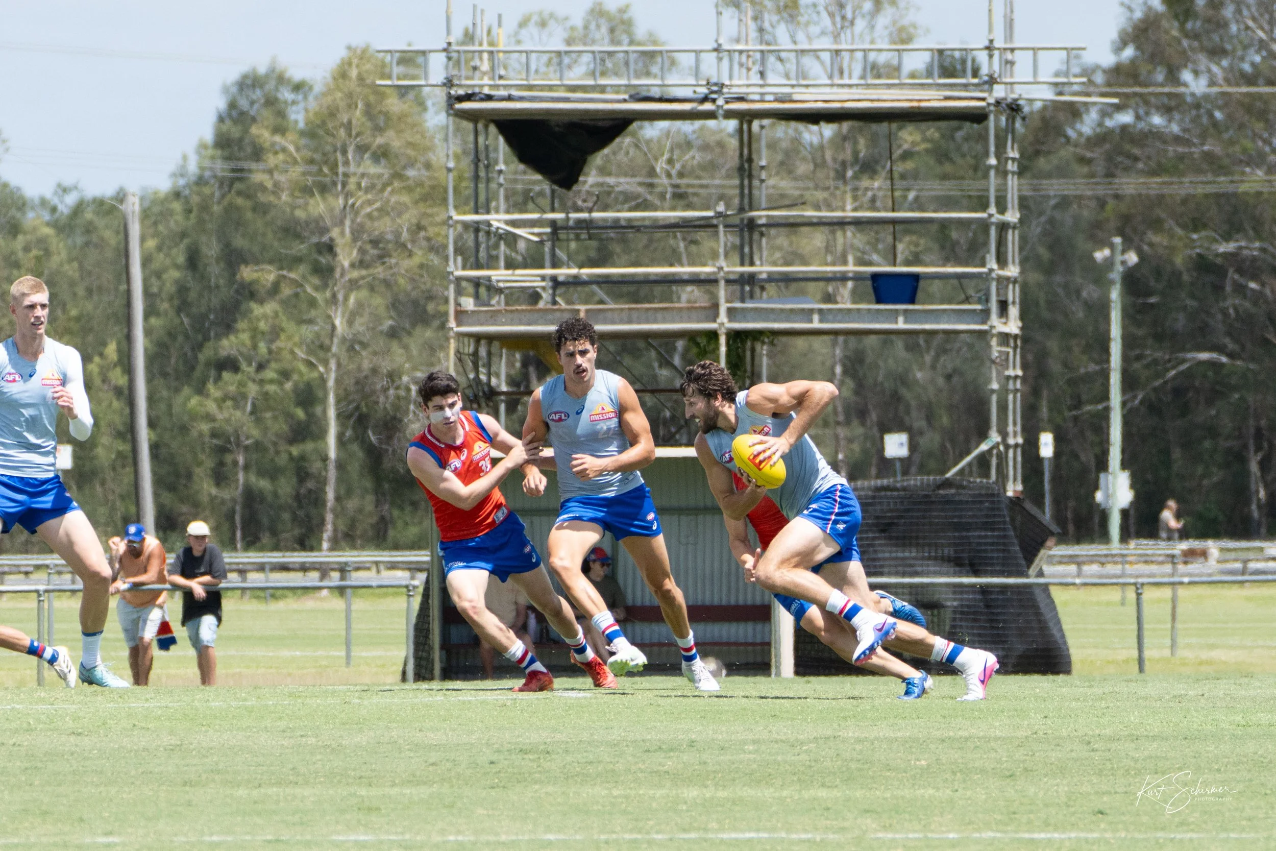 Western Bulldogs 5.jpg