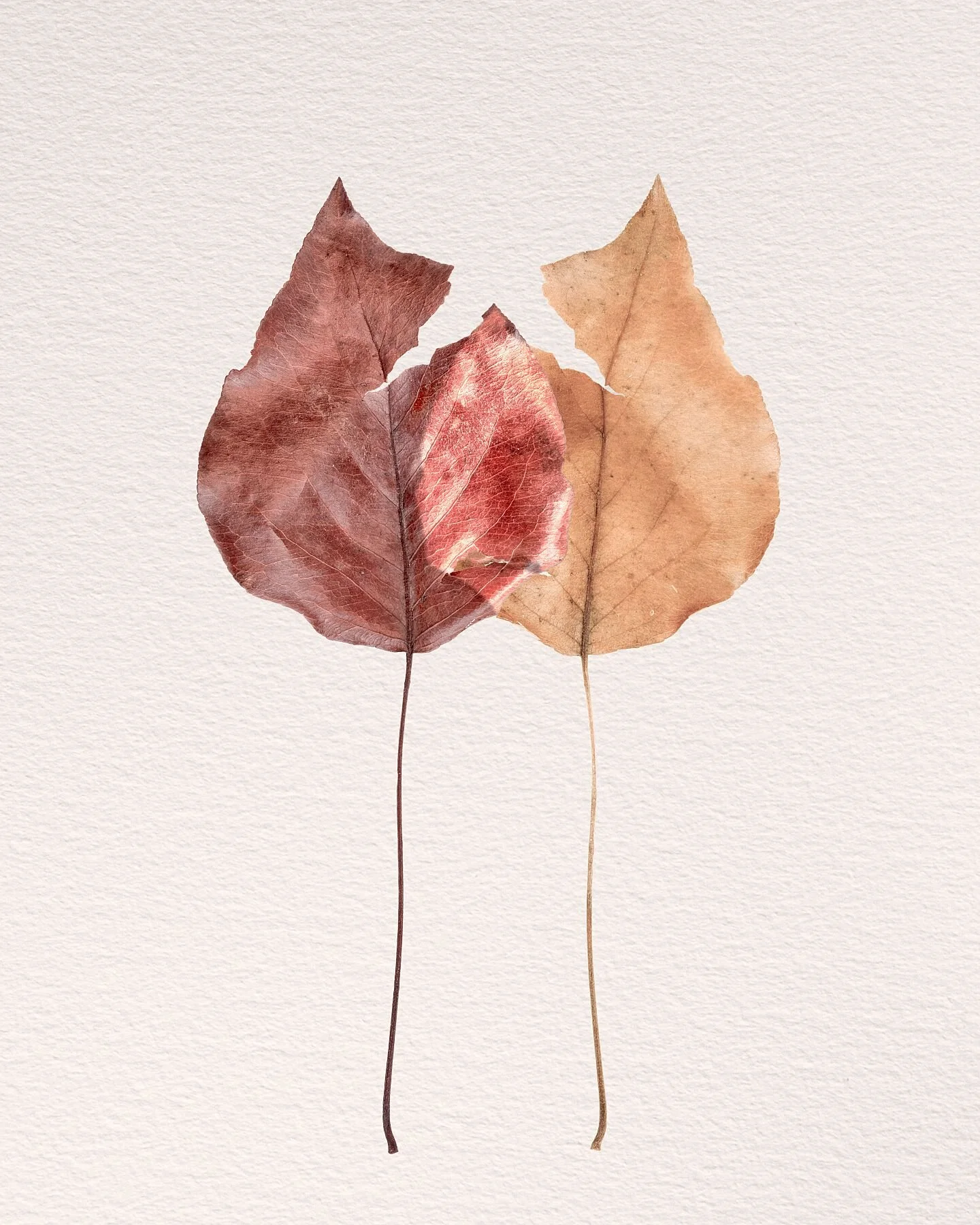 Fine art print titled Rupture from the Silent Selves series symbolising a sudden life break and the resilient inner core that endures.