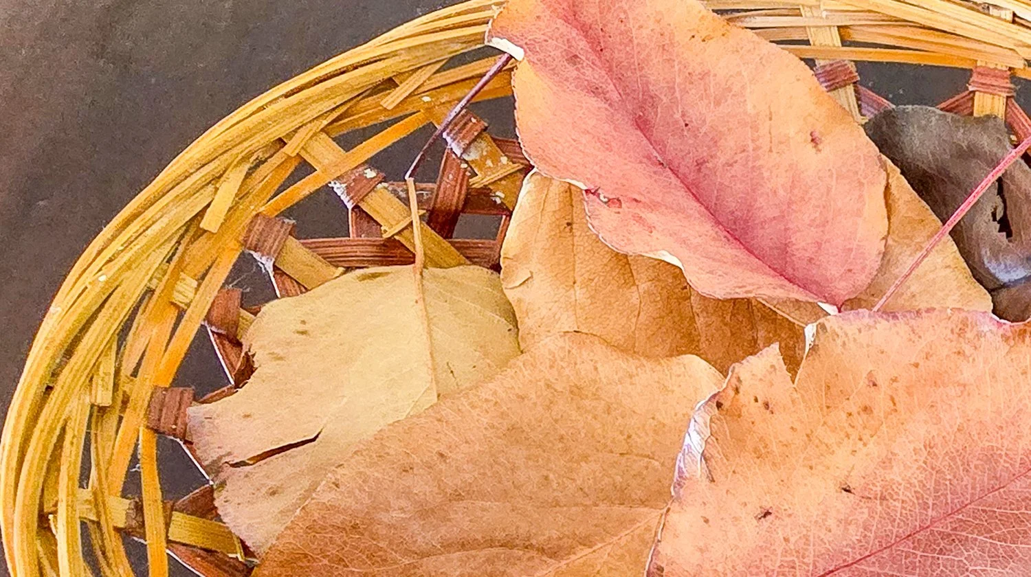 Silent Selves: The Space Between