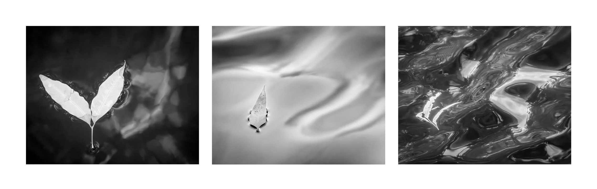 Three graphic infrared black and white thumbnails in a banner image for the conceptual Drifting Destinies fine art print series
