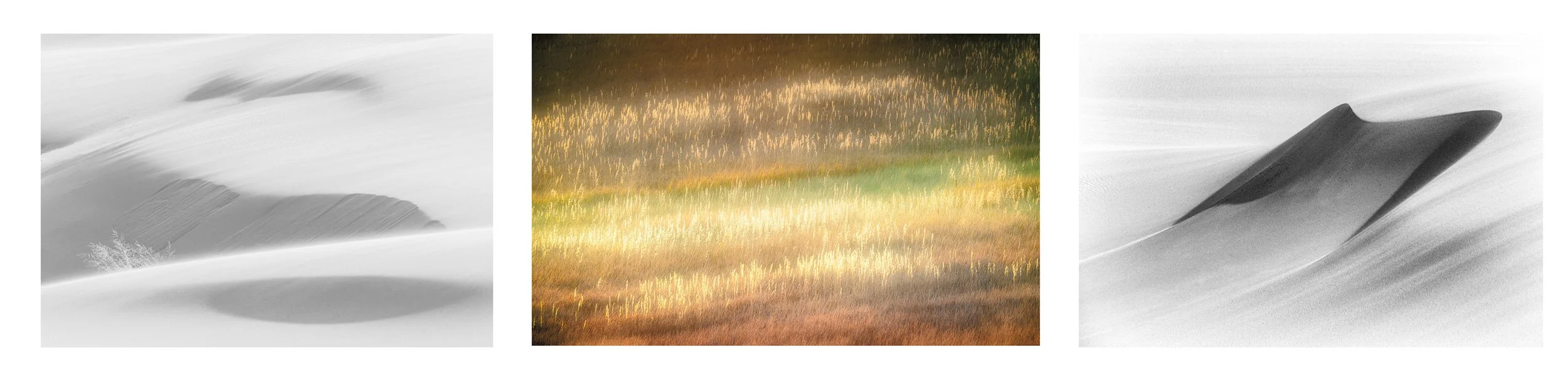 fine art prints which reflects the subtle relationships between space, light, texture, and the enduring rhythms of the natural world by Australian photographer Ian J Muirhead.