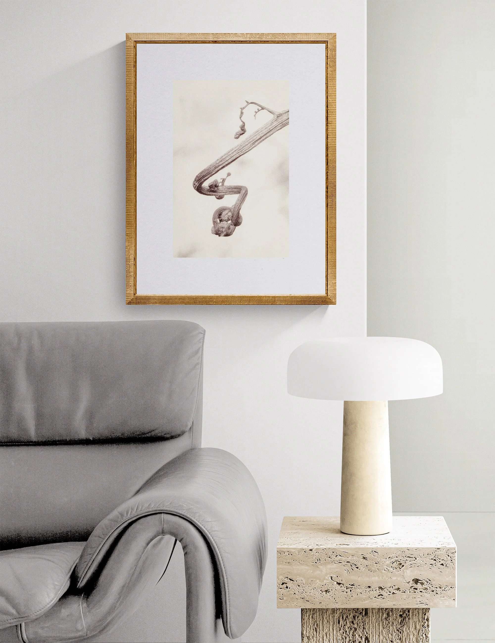 Fronded Forms limited edition botanical photograph by Ian J. Muirhead Arts, displayed in a contemporary reading corner with a sculptural lounge chair, stone side table and soft neutral tones.