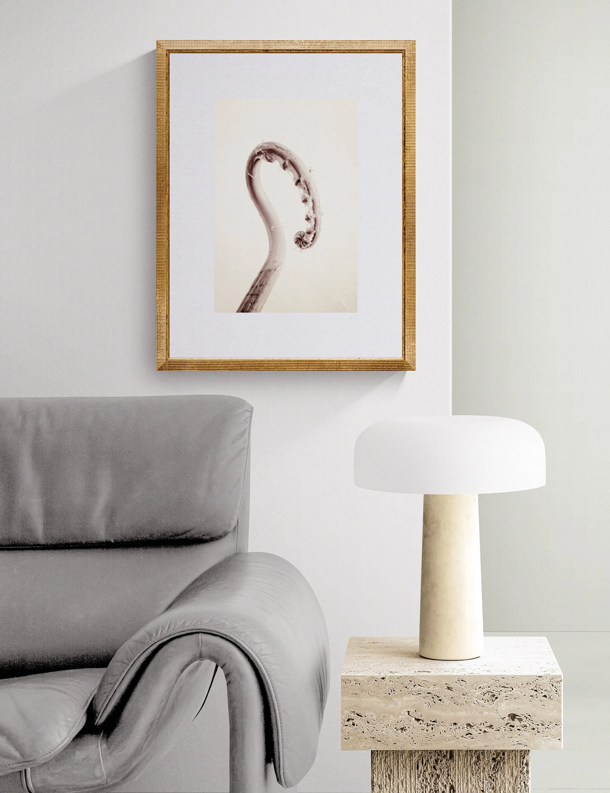 Fronded Forms limited edition botanical photograph by Ian J. Muirhead Arts, displayed in a contemporary reading corner with a sculptural lounge chair, stone side table and soft neutral tones.
