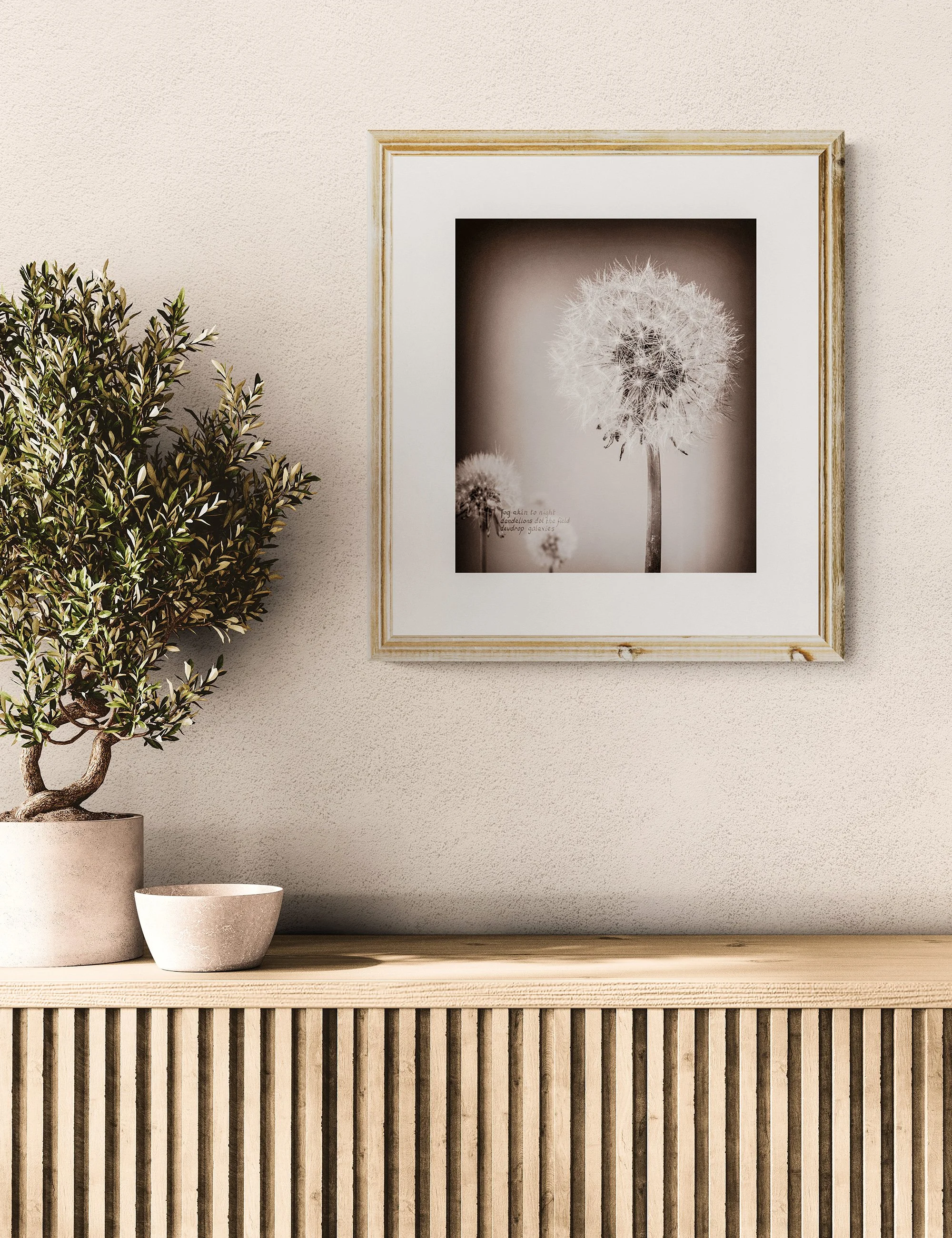 “DEWDROP GALAXIES” haiga print by Ian J. Muirhead Arts, featuring soft sepia dandelion seed heads with embedded haiku text in a minimalist timber-framed interior.