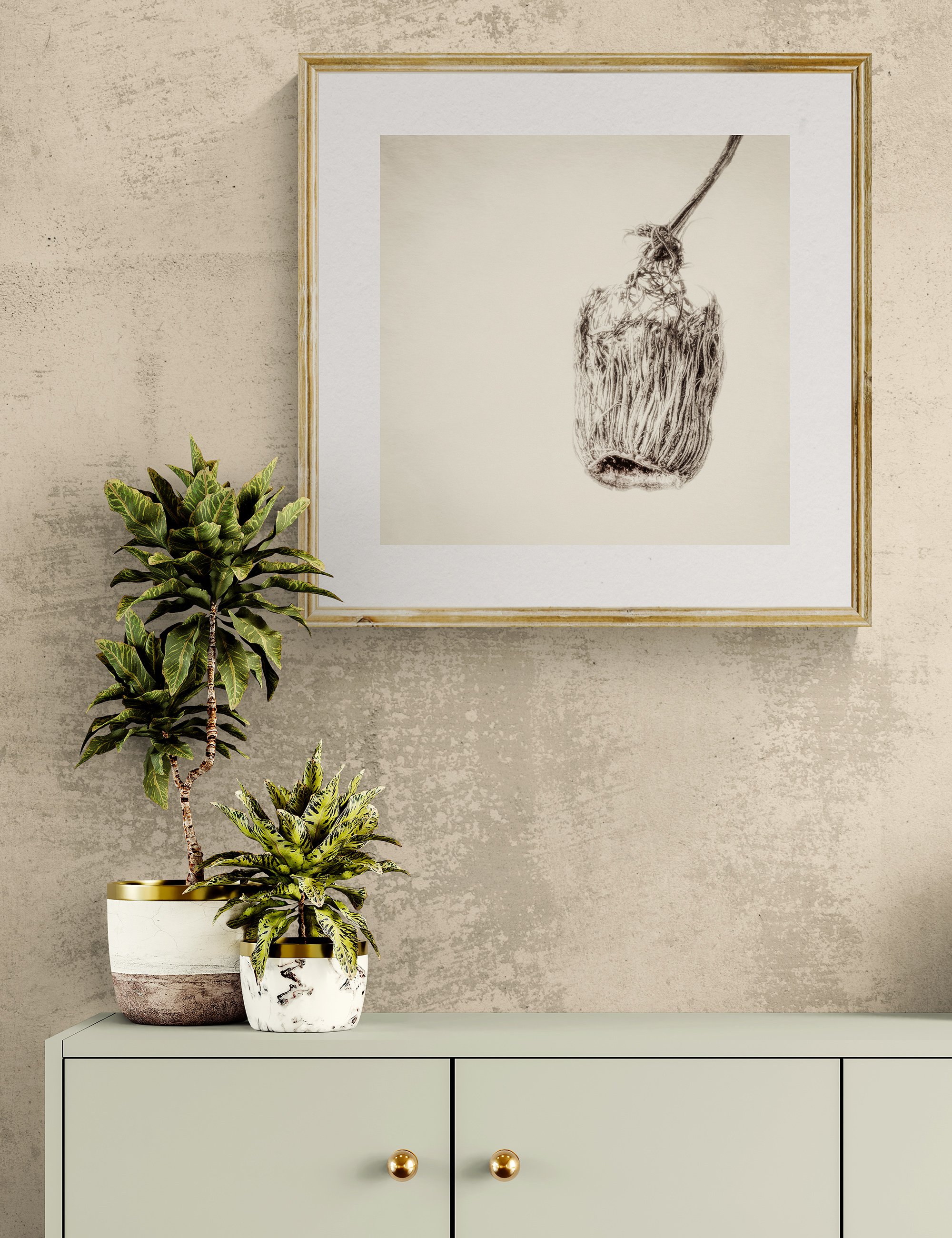 "Threadbare Remnant" from the Gumnut Gestures series by Ian J. Muirhead Arts, displayed in a contemporary interior above a minimalist cabinet with botanical styling and a light timber frame.