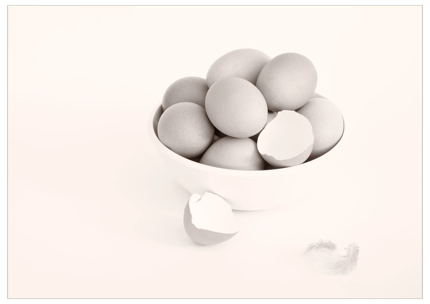 a high key image of a bowl of eggs, a cracked shell and two feathers