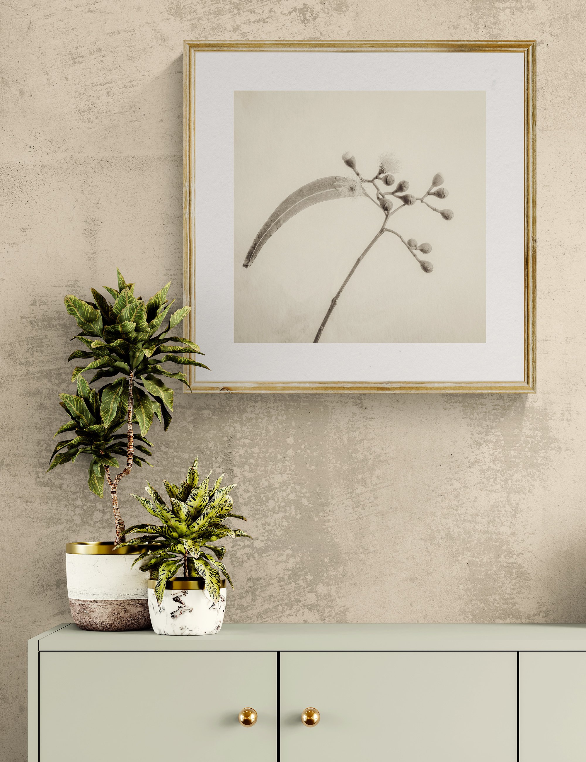”Awakening Buds" from the Gumnut Gestures series by Ian J. Muirhead Arts, displayed in a contemporary interior above a minimalist cabinet with botanical styling and a light timber frame.