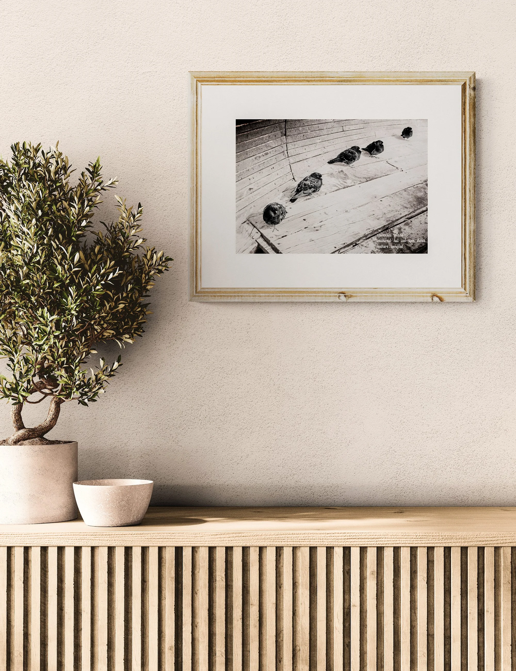 “SANCTUARY” haiga print by Ian J. Muirhead Arts, featuring resting birds in monochrome tones with embedded haiku and contemplative minimalist photography.
