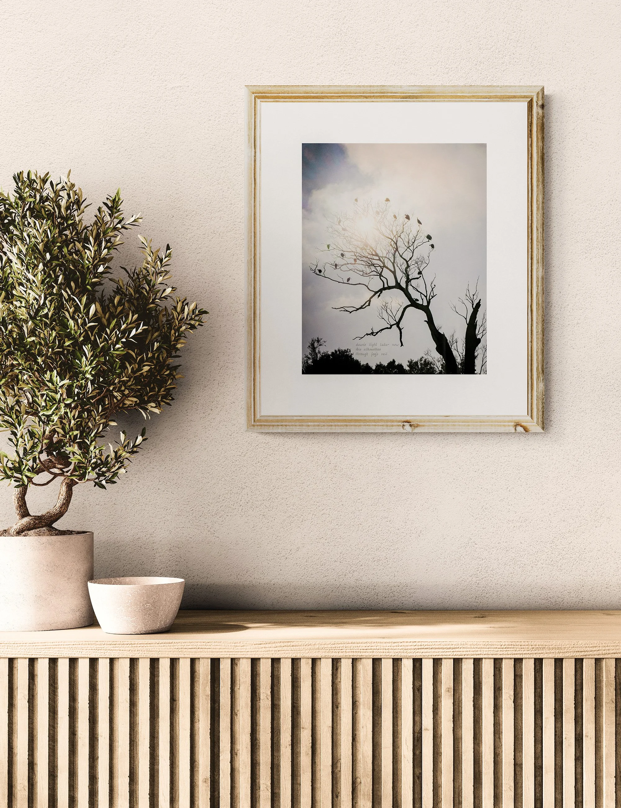 “IBIS SILHOUETTE” haiga print by Ian J. Muirhead Arts, featuring silhouetted ibis birds in bare branches beneath soft light, displayed in a minimalist timber frame within a calm natural interior.